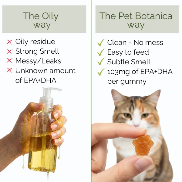Pet Botanica: Omega Gummies - Sardine - Image 6