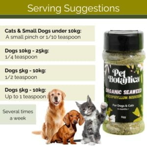 Pet Botanica: Organic Seaweed Meal Topper for cats & dogs - Image 3