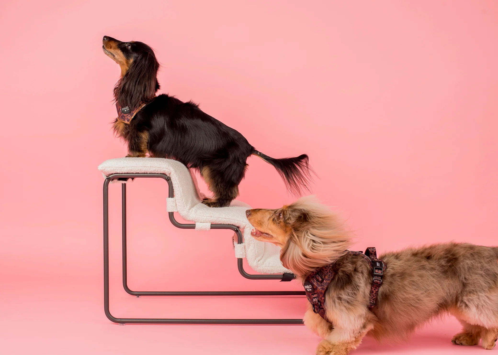 Pet Stairs for Cats & Dogs - White Boucle - Image 7