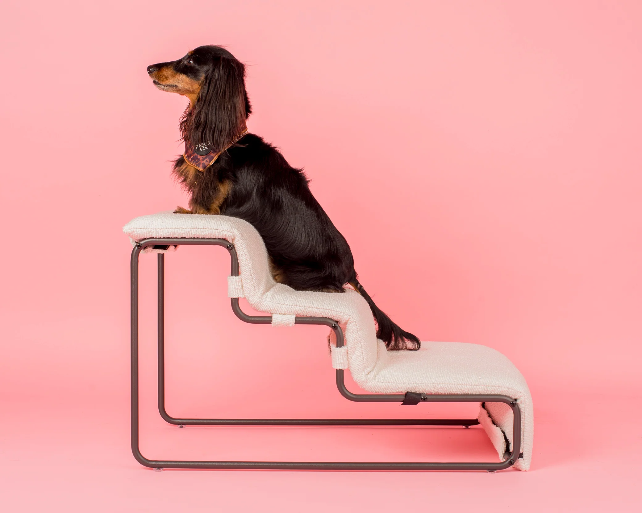Pet Stairs for Cats & Dogs - White Boucle - Image 9