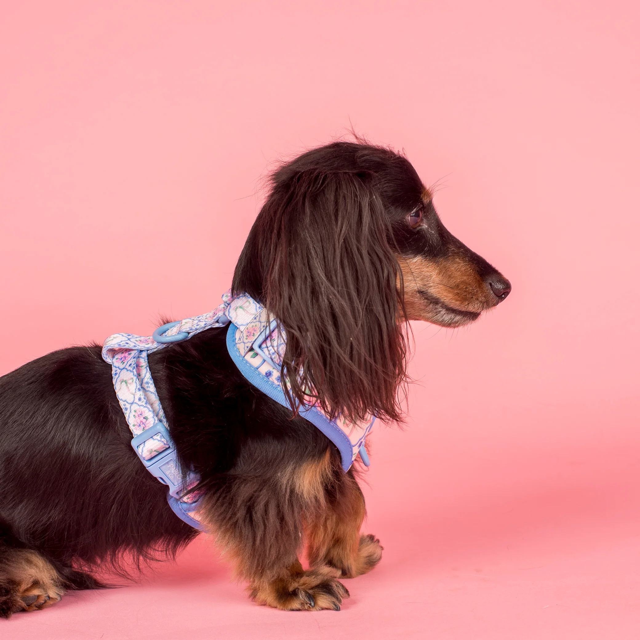 Petal: Adjustable Harness - Image 3