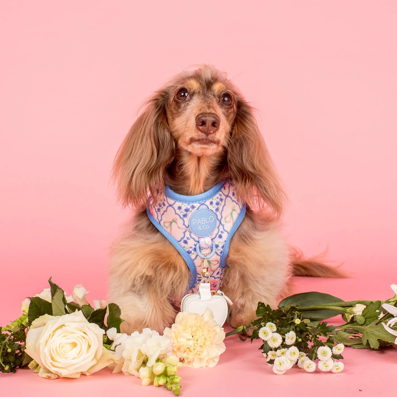 Petal: Adjustable Harness - Image 4