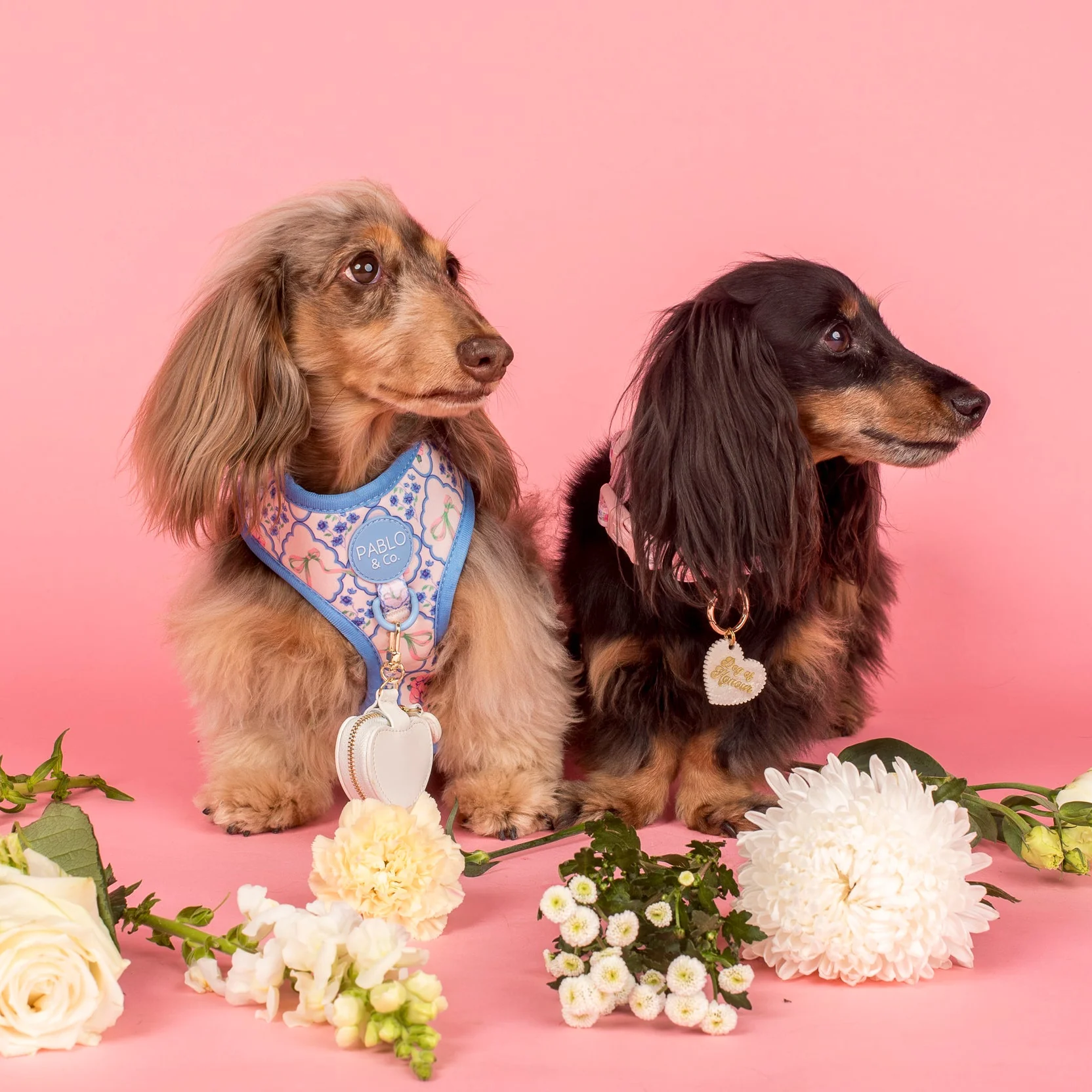 Petal: Adjustable Harness - Image 5