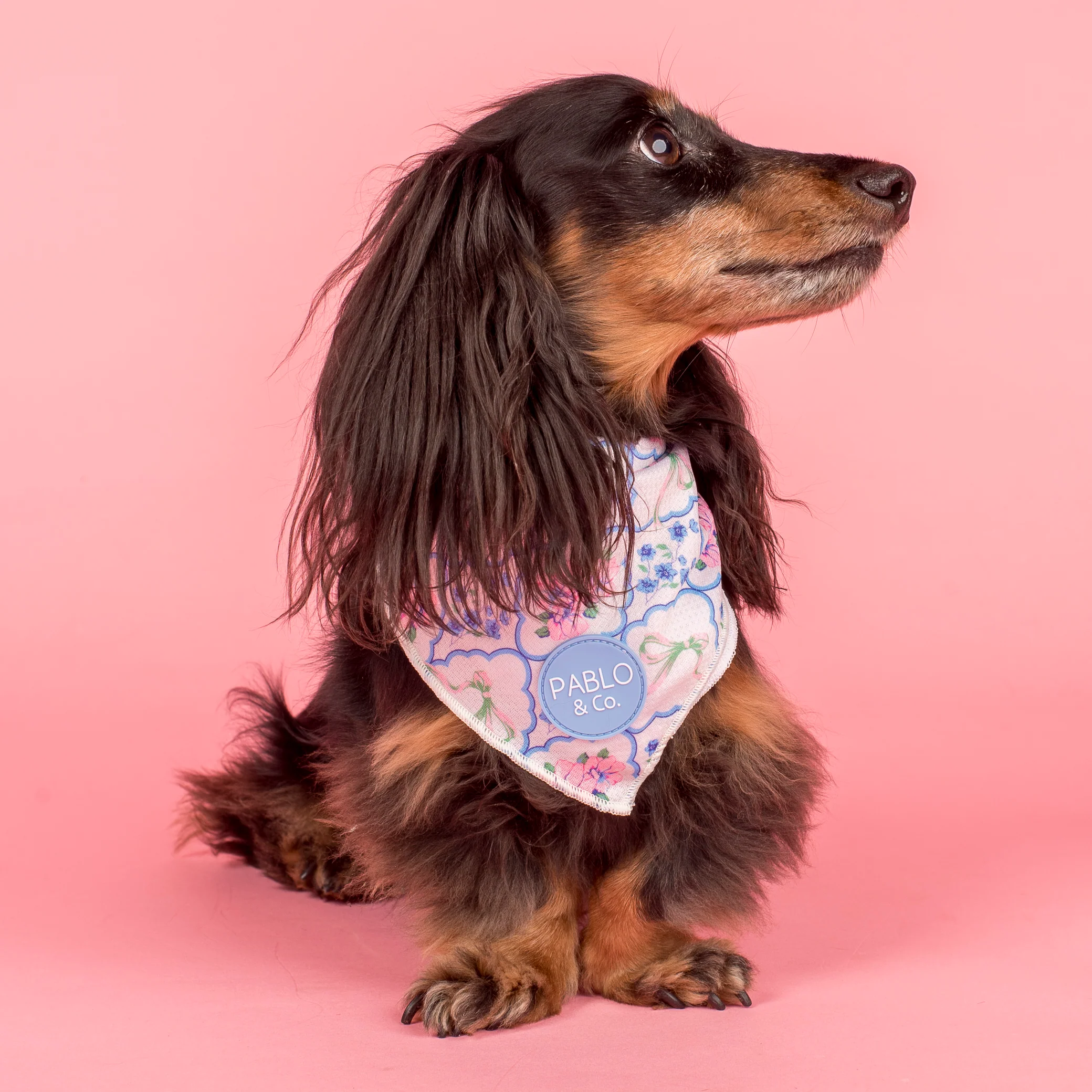 Petal: Dog Bandana - Image 3