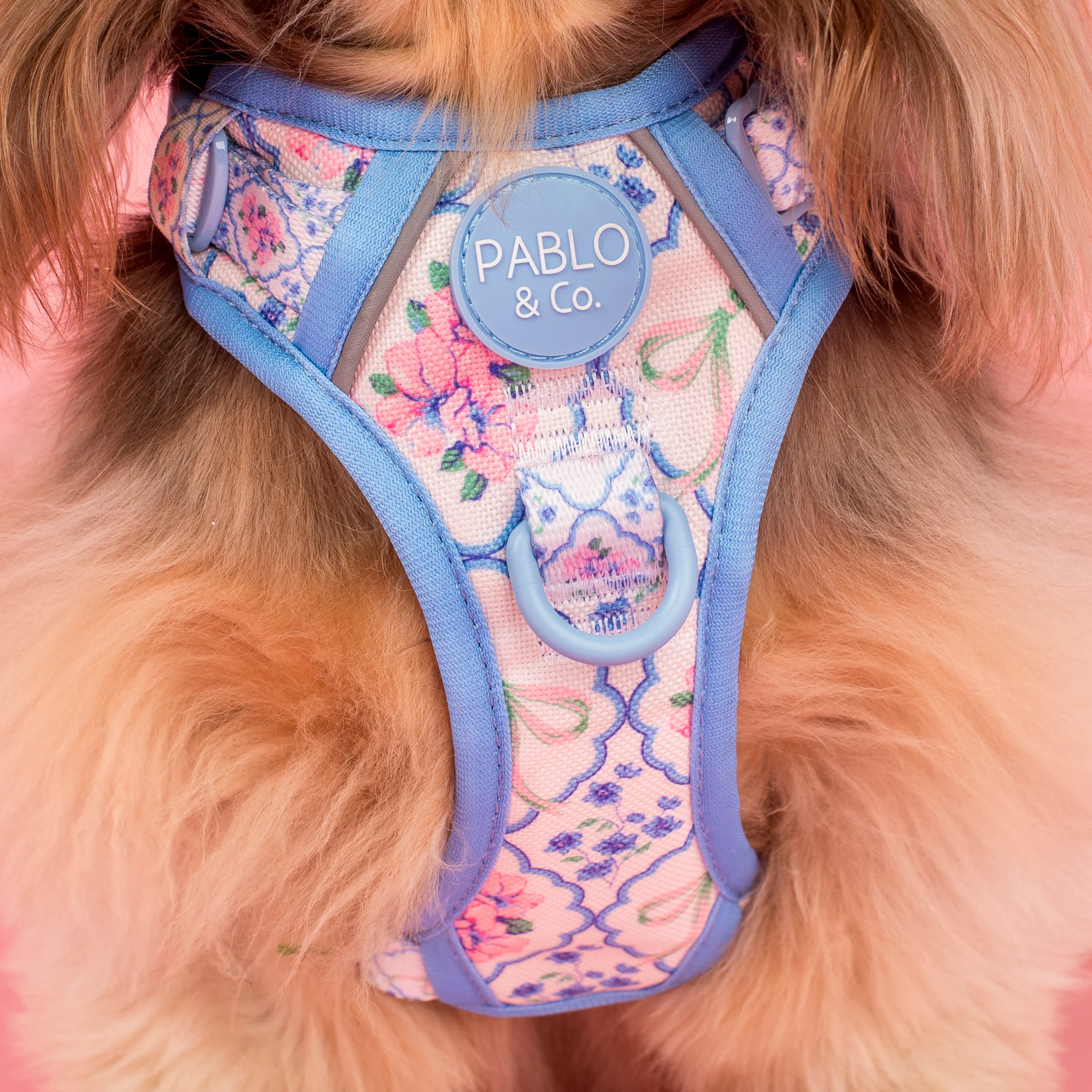 Petal: No Pull Adventure Harness - Image 2