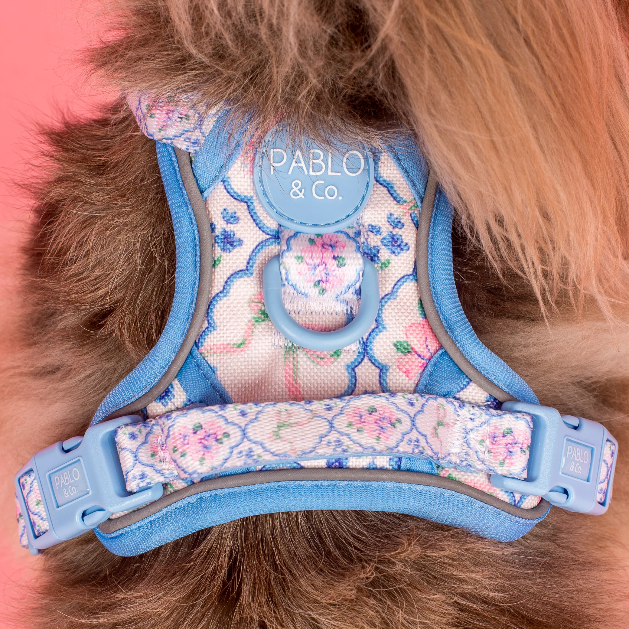 Petal: No Pull Adventure Harness - Image 4