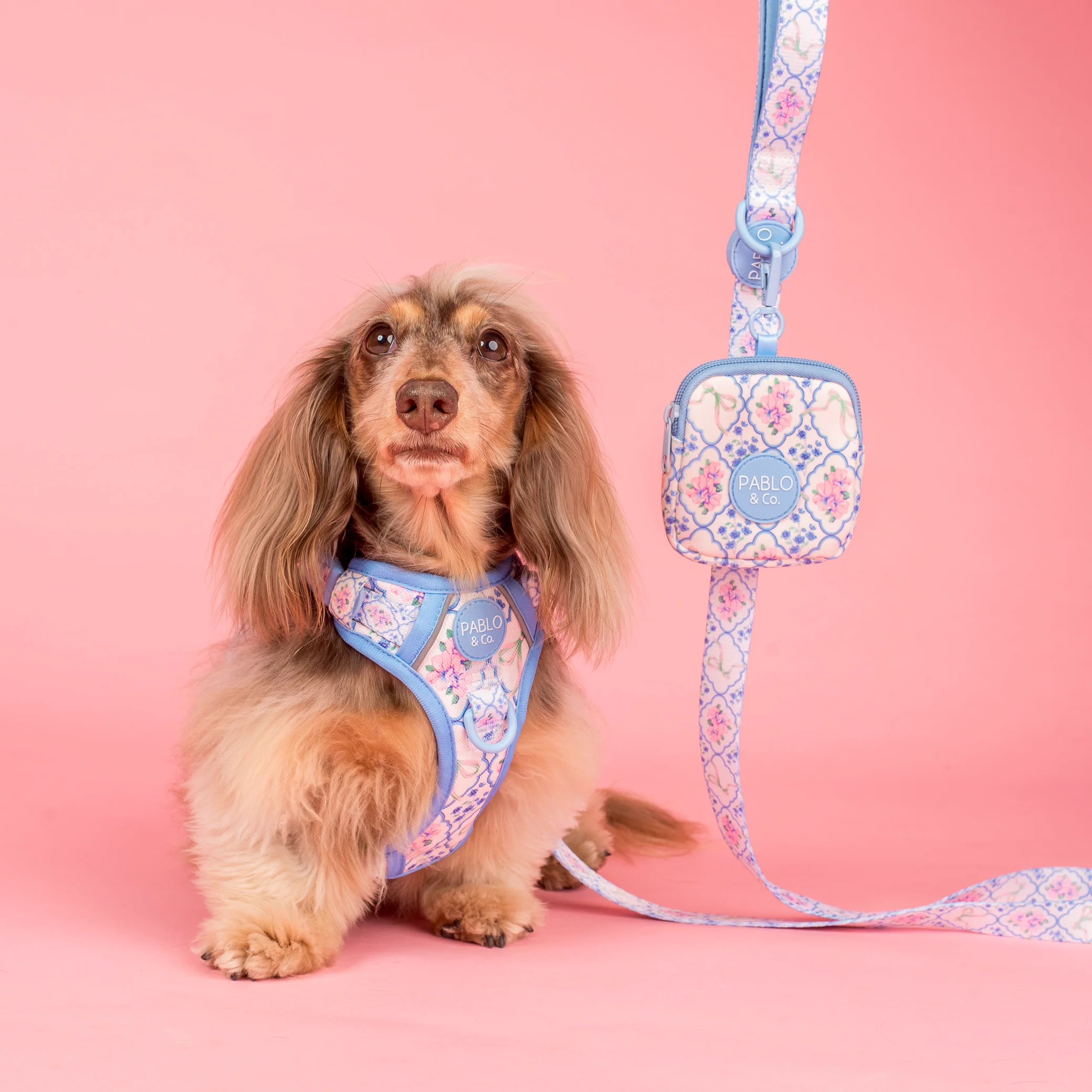 Petal: Treat Pouch