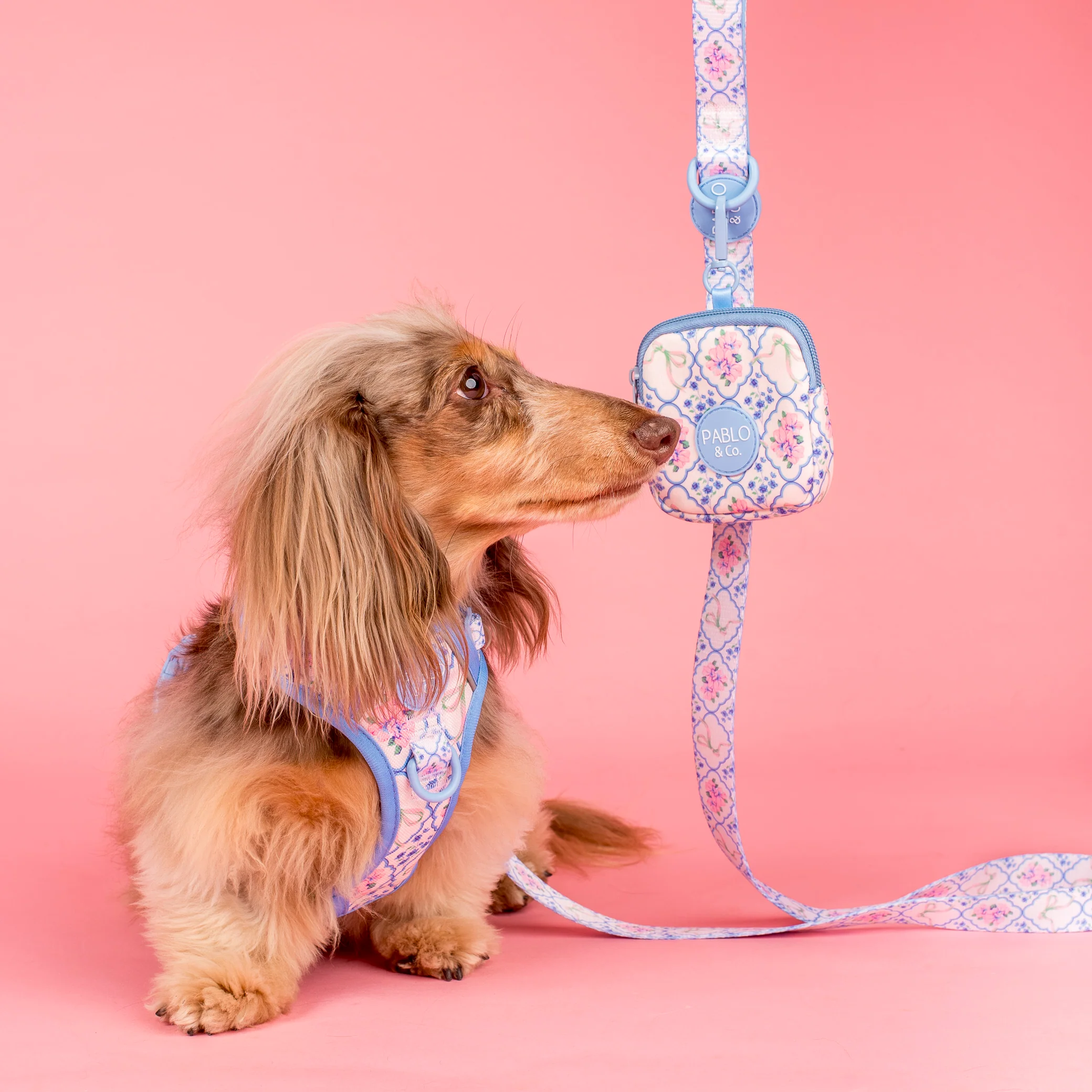Petal: Treat Pouch - Image 2