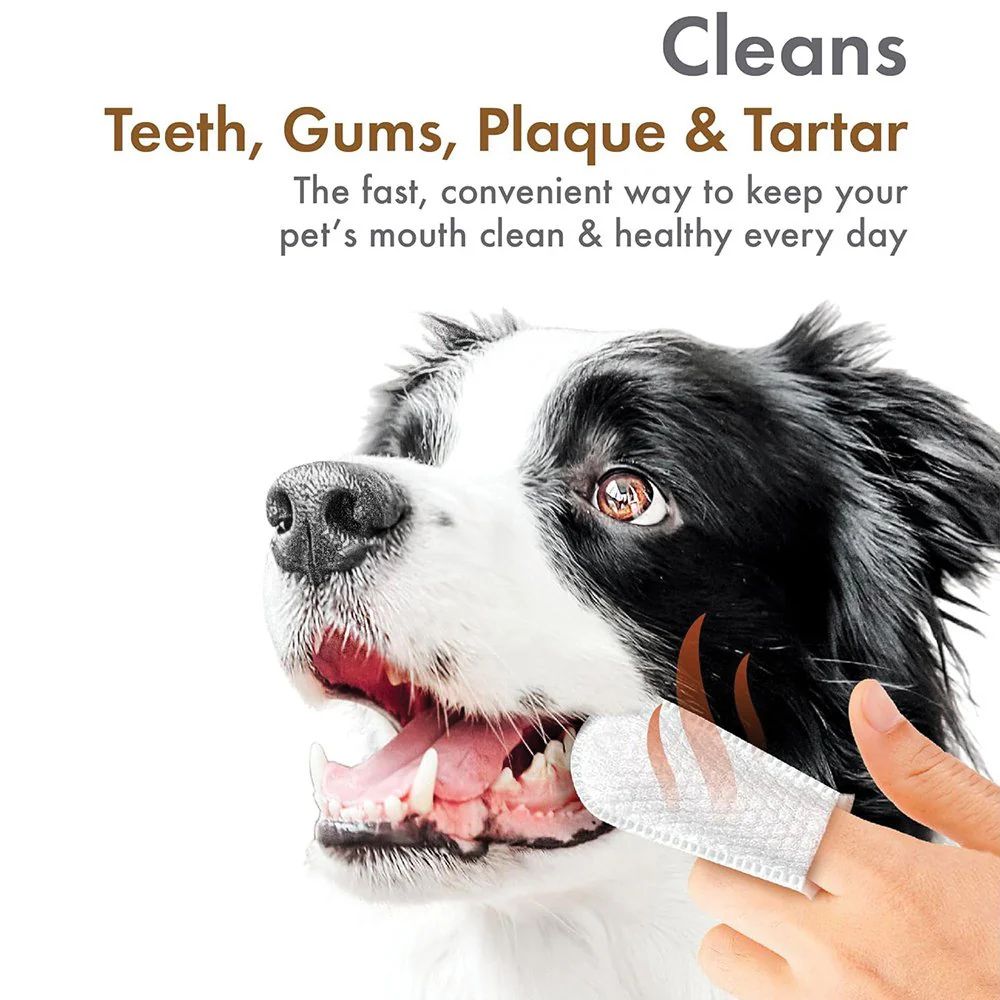 Petkin Fingertip Tooth Wipes 50pk - Peanut Butter - Image 2