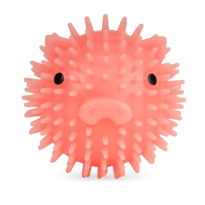 Piggy Dog Ball - Image 3