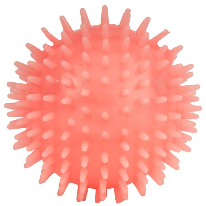 Piggy Dog Ball - Image 4