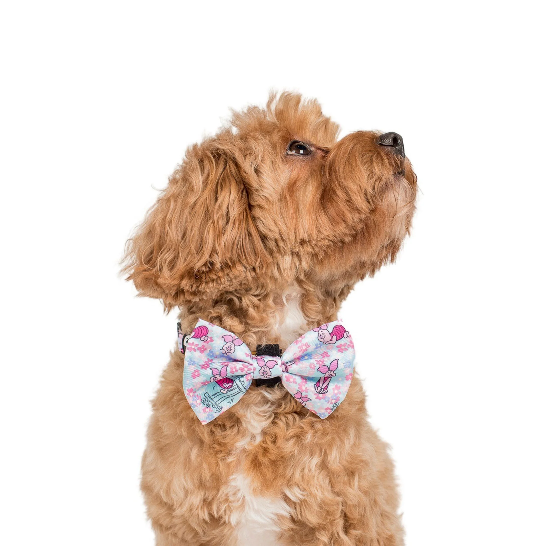 Piglet: Bow Tie - Image 2