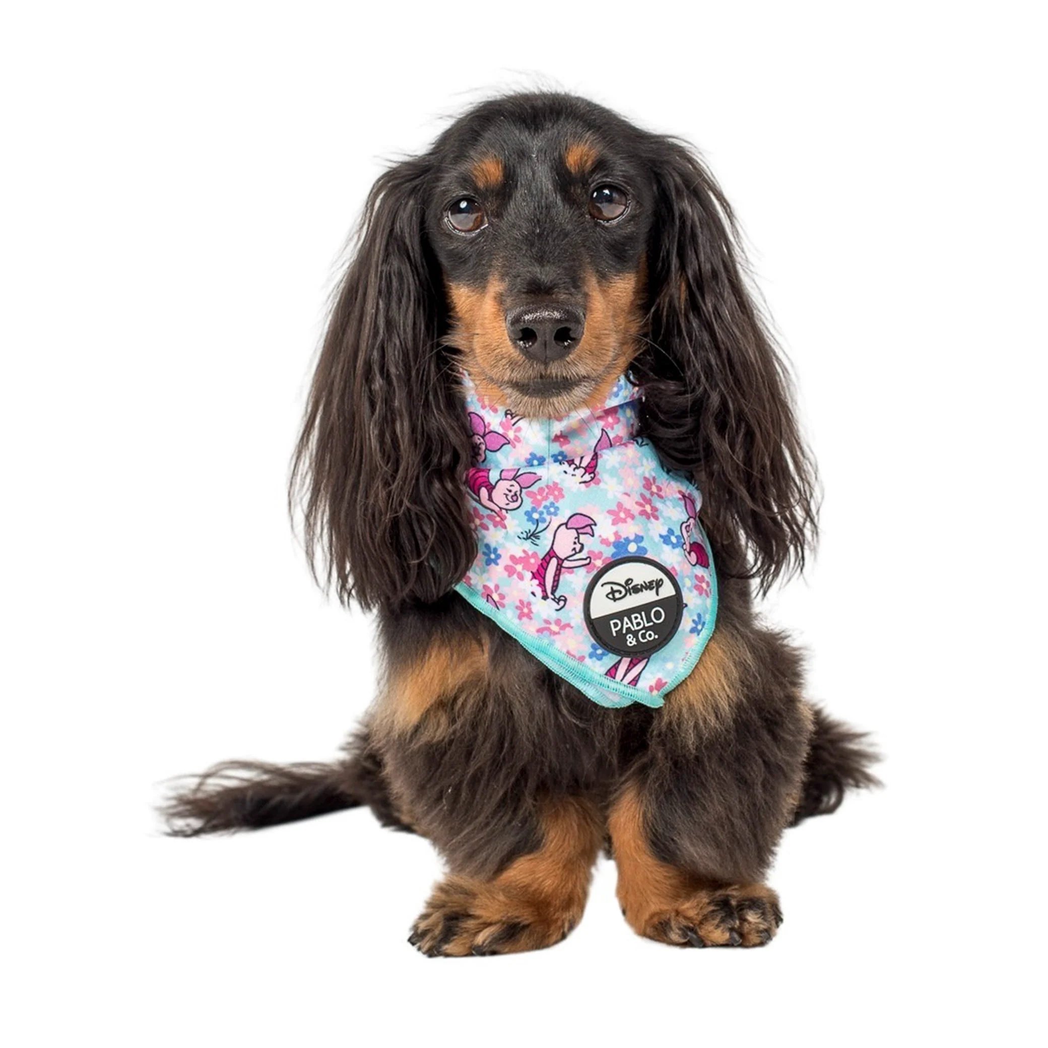 Piglet: Dog Bandana - Image 2