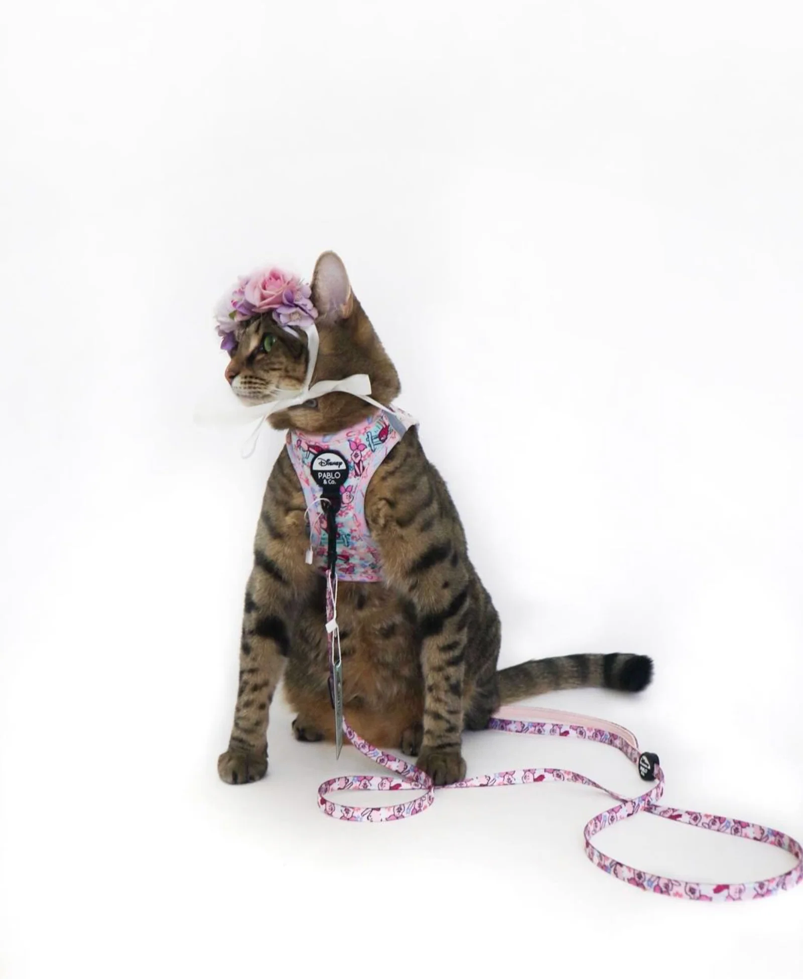 Piglet: Step In Cat Harness - Image 3