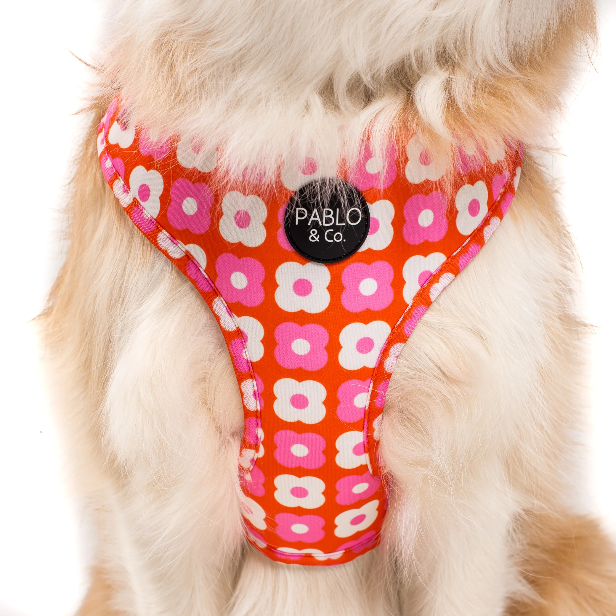 Pink Checkered Daisies: Adjustable Harness - Image 2
