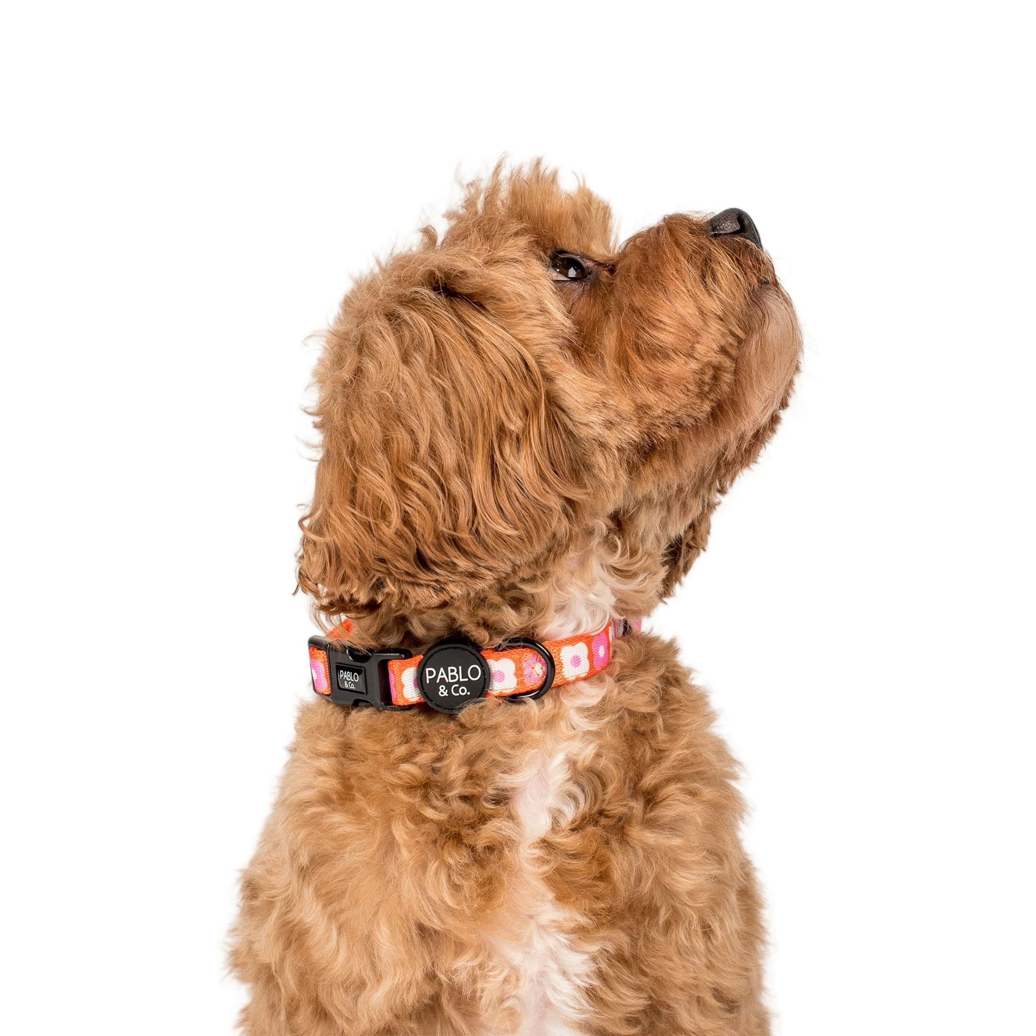 Pink Checkered Daisies: Collar - Image 3
