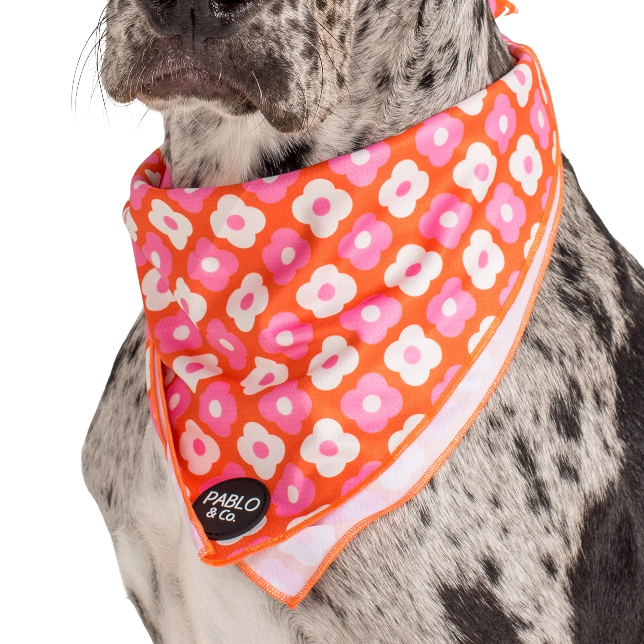 Pink Checkered Daisies - Dog Bandana - Image 2
