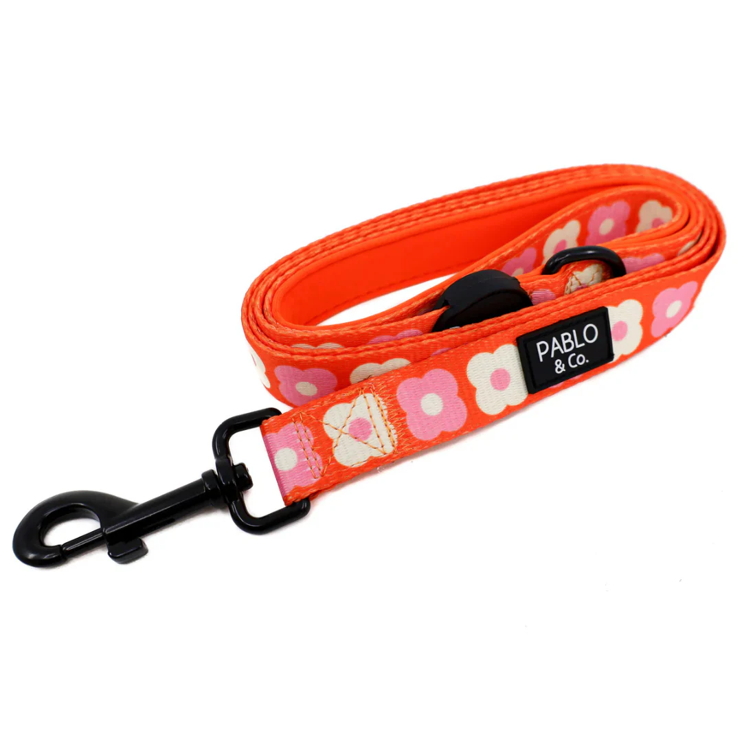 Pink Checkered Daisies: Dog Leash