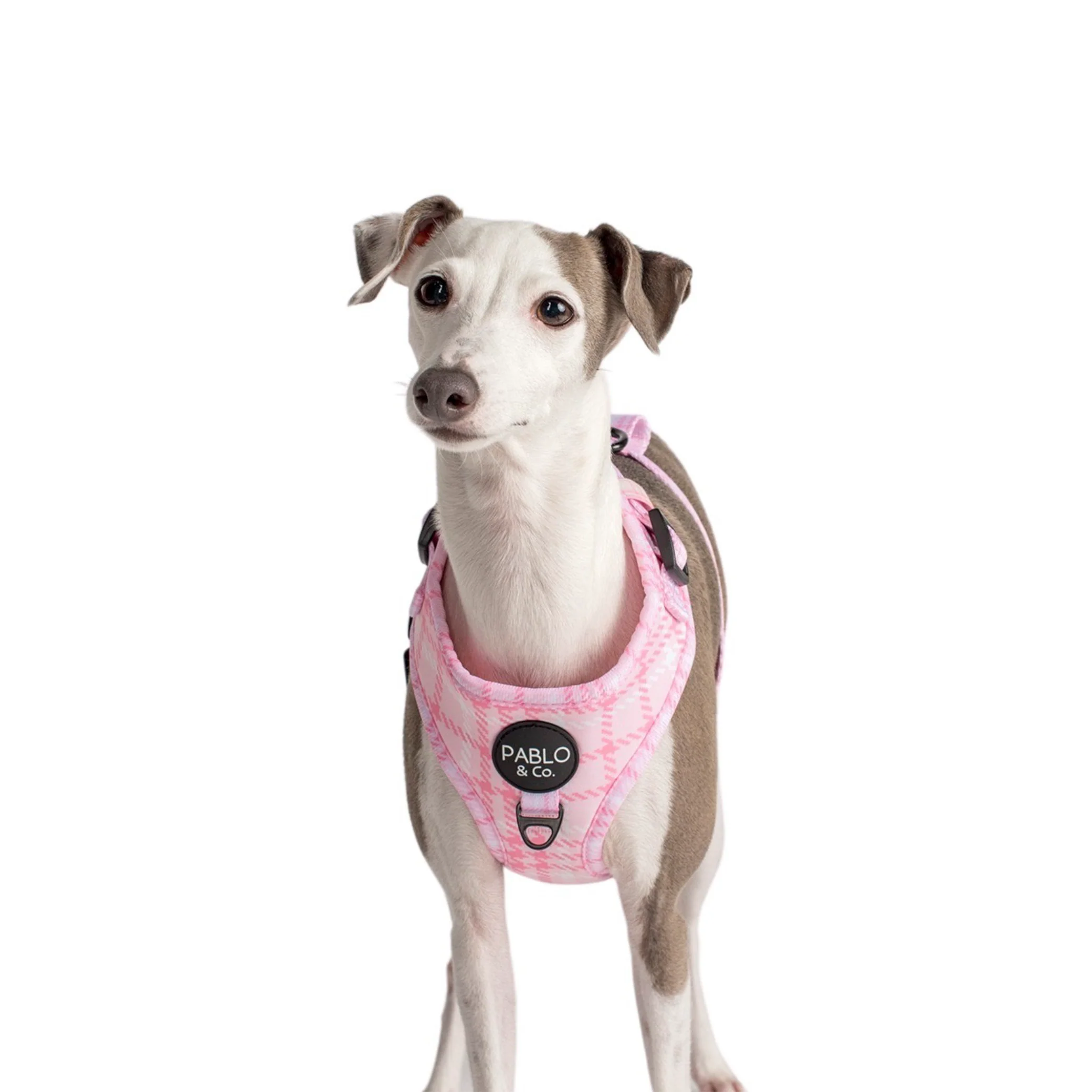 Pink Houndstooth: Adjustable Harness - Image 11