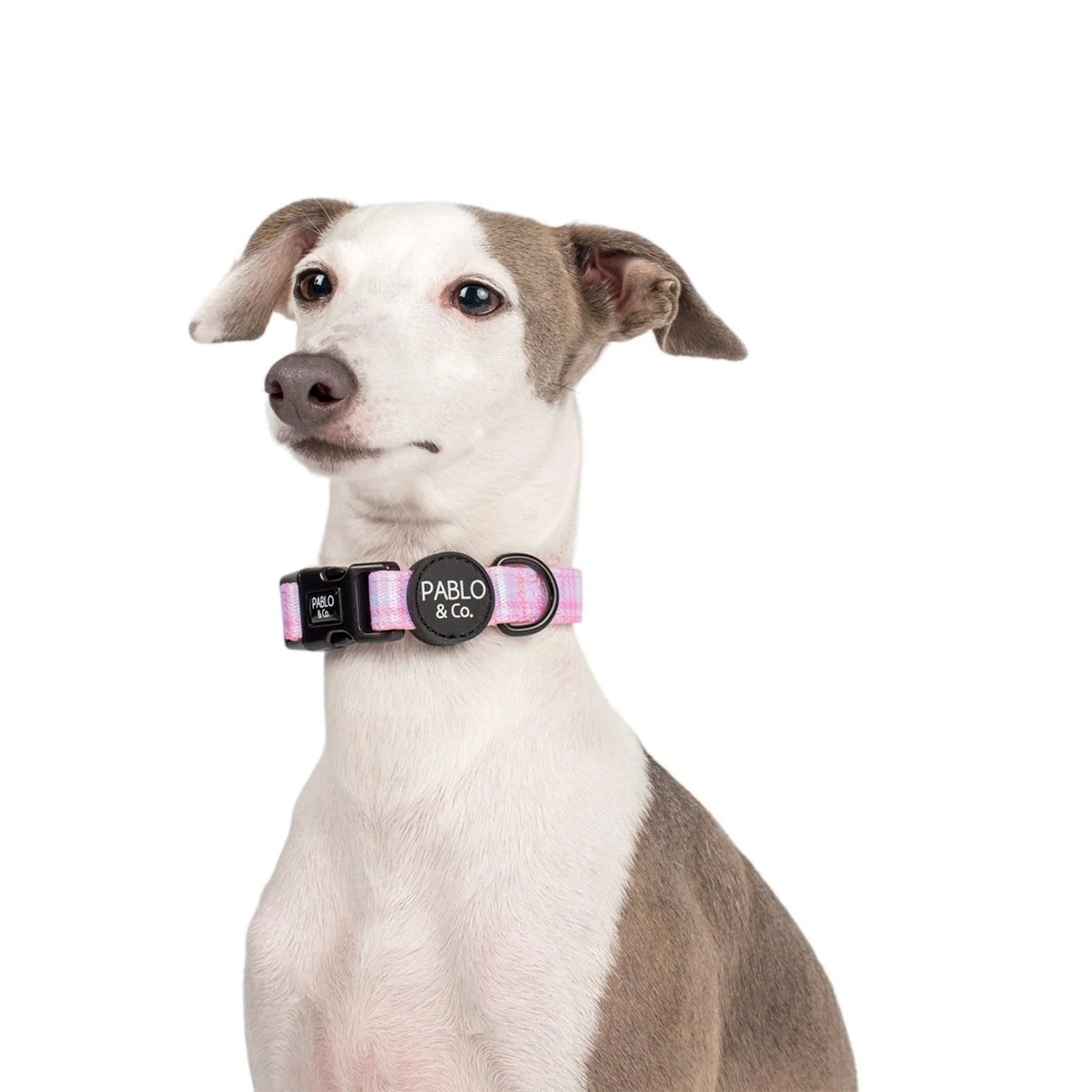 Pink Houndstooth: Collar