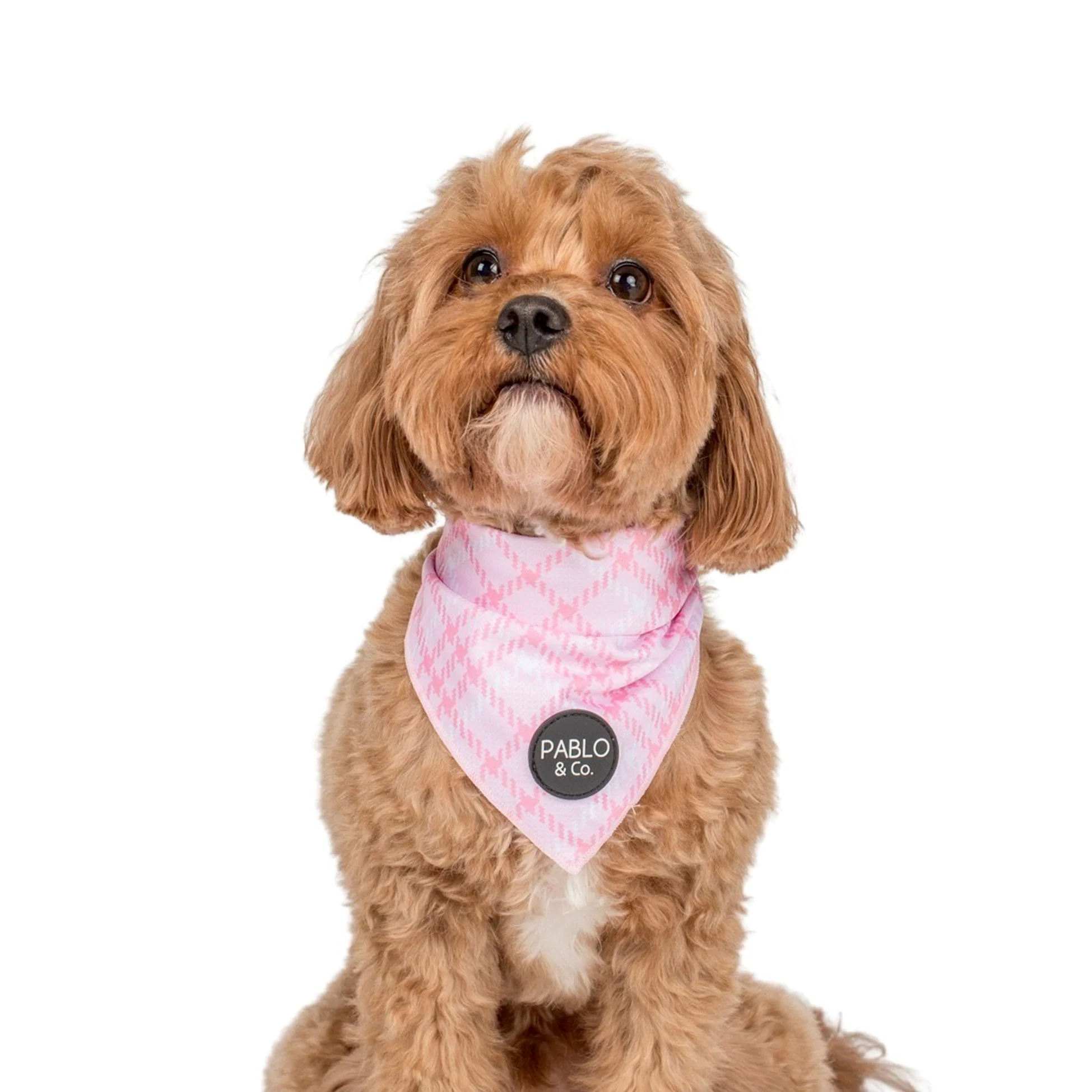 Pink Houndstooth - Dog Bandana - Image 3