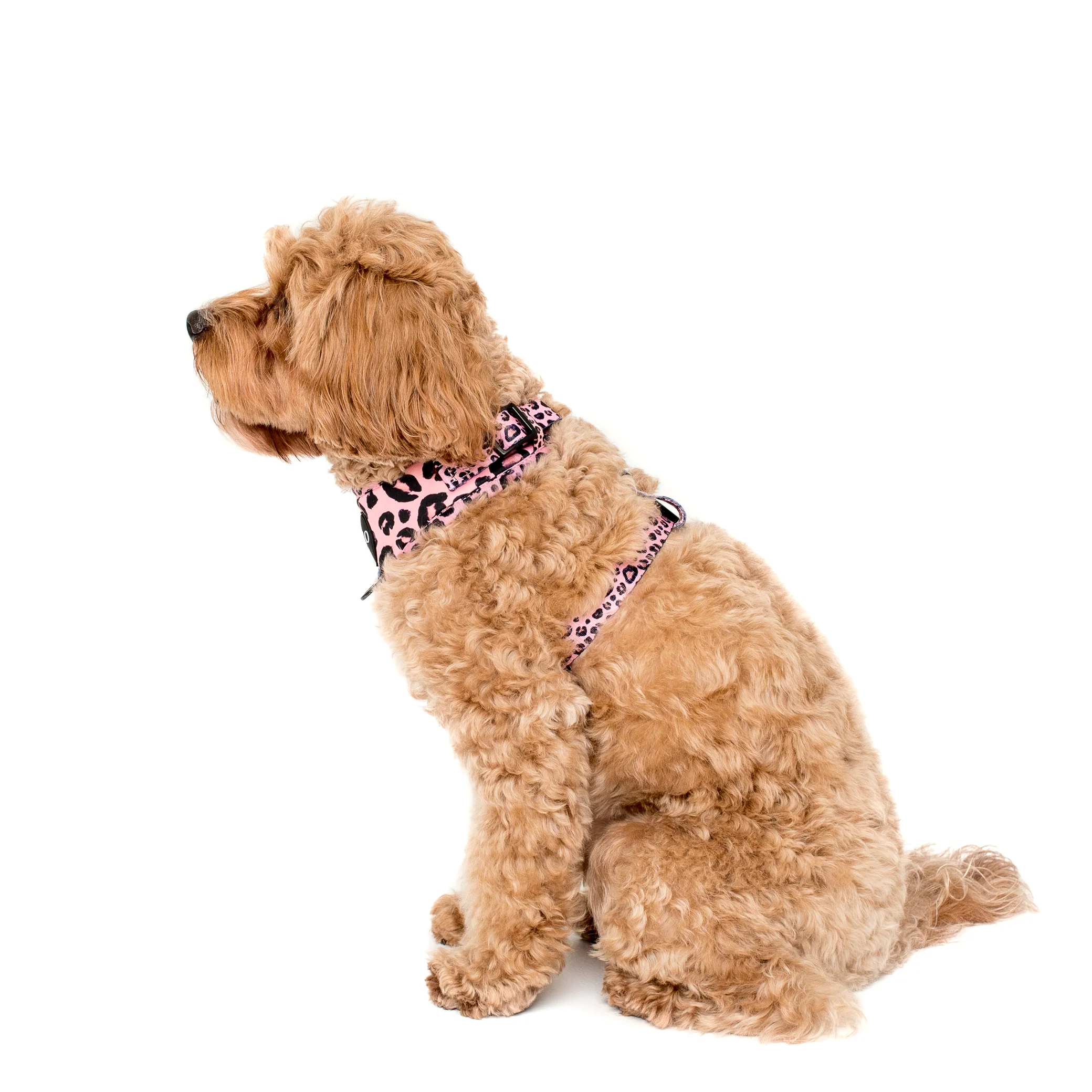 Pink Leopard: Adjustable Harness - Image 3