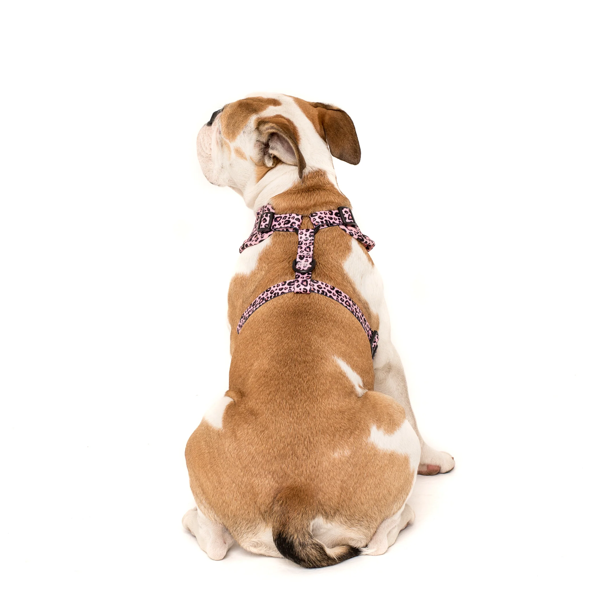 Pink Leopard: Adjustable Harness - Image 5