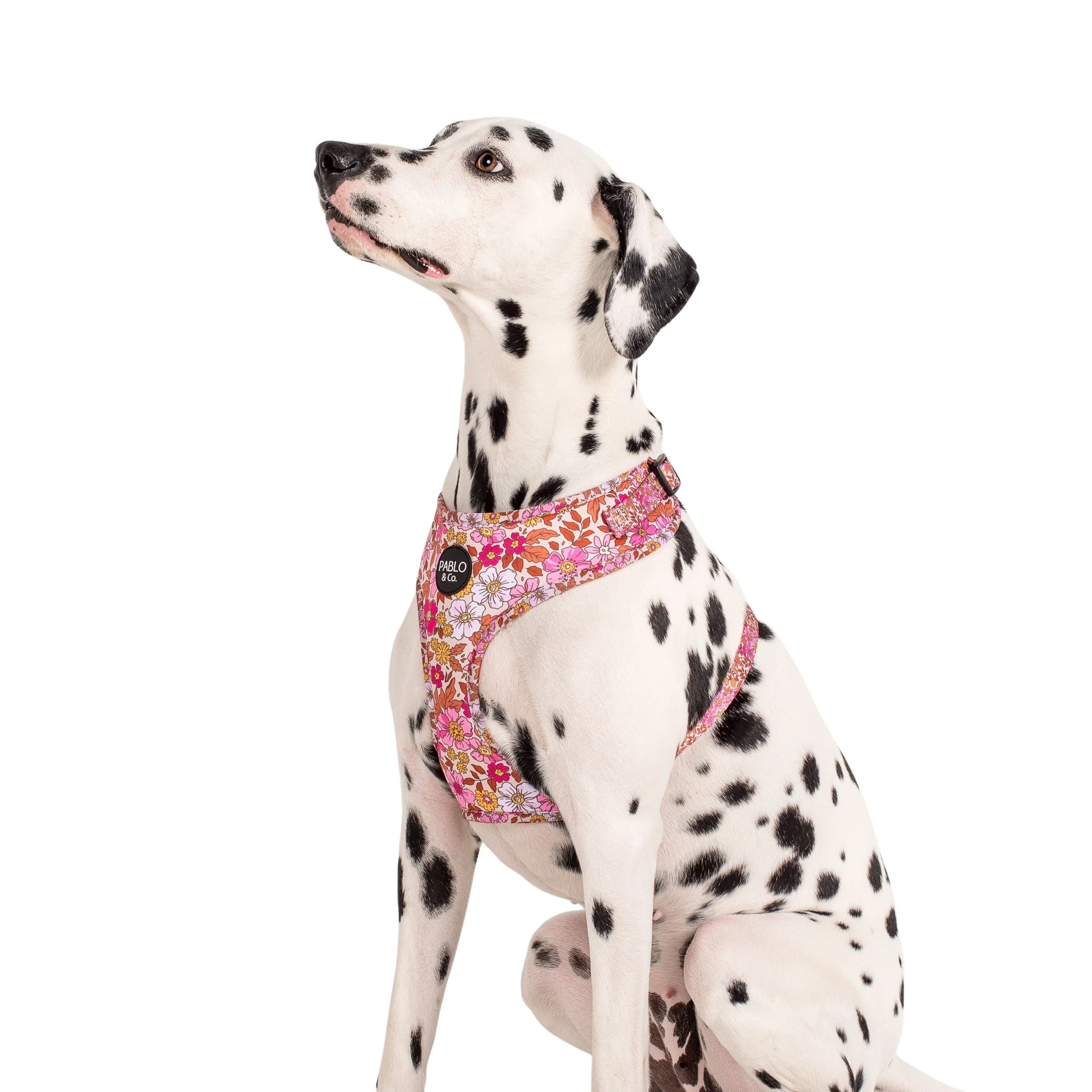 Pink Posies: Adjustable Harness - Image 6