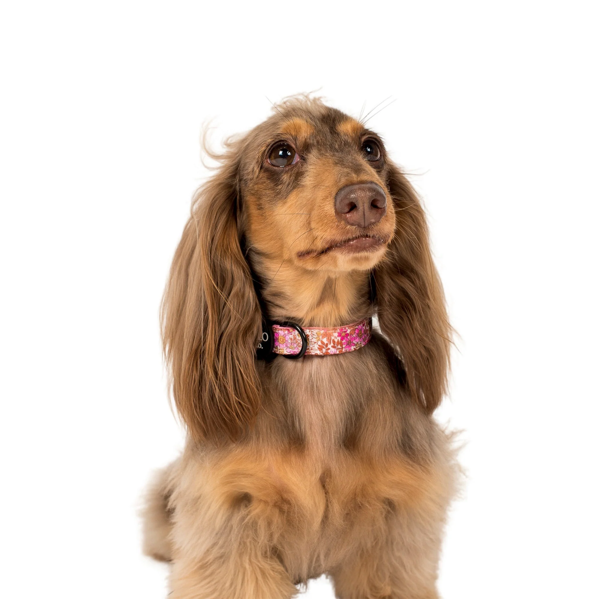 Pink Posies: Collar - Image 2