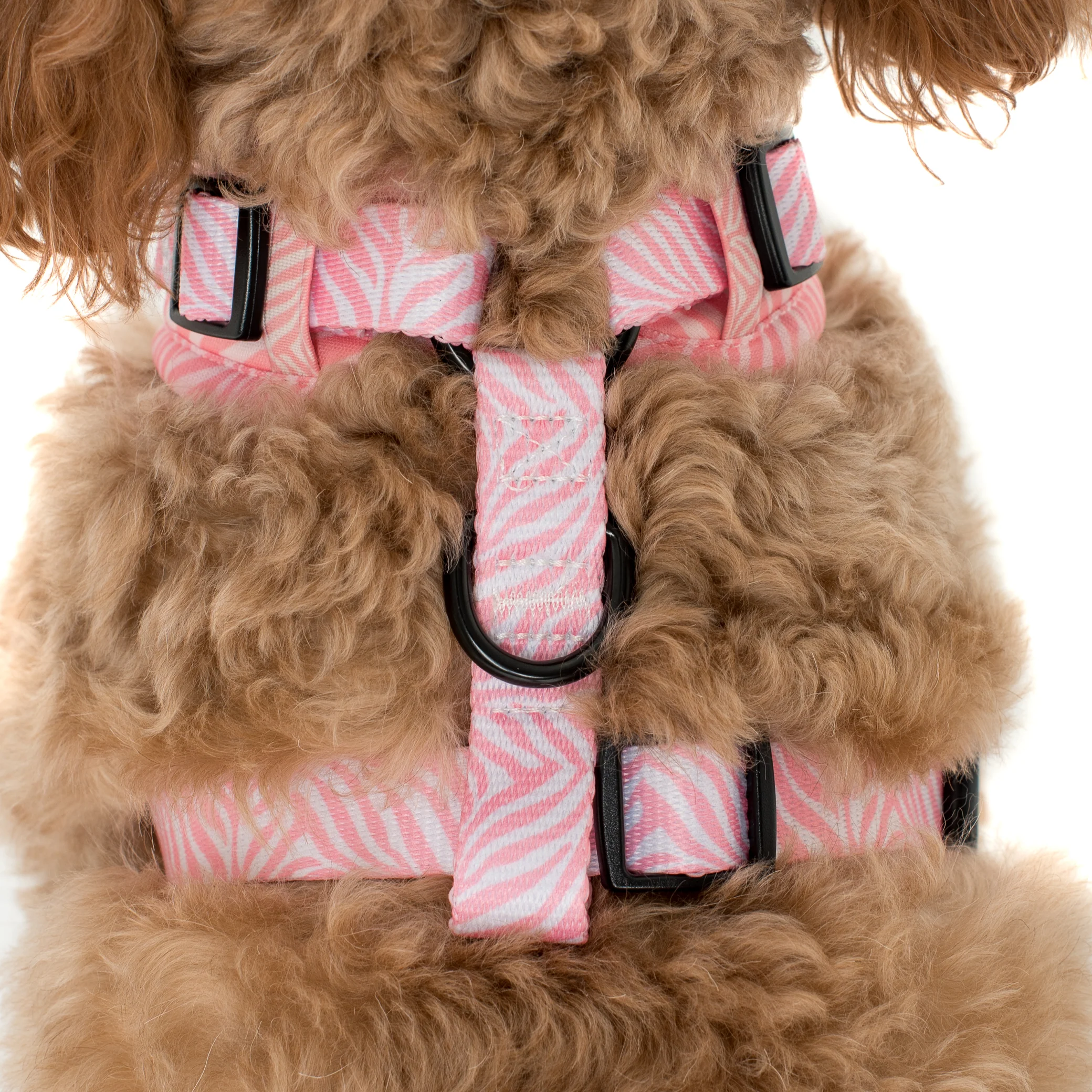 Pink Zebra: Adjustable Harness - Image 4