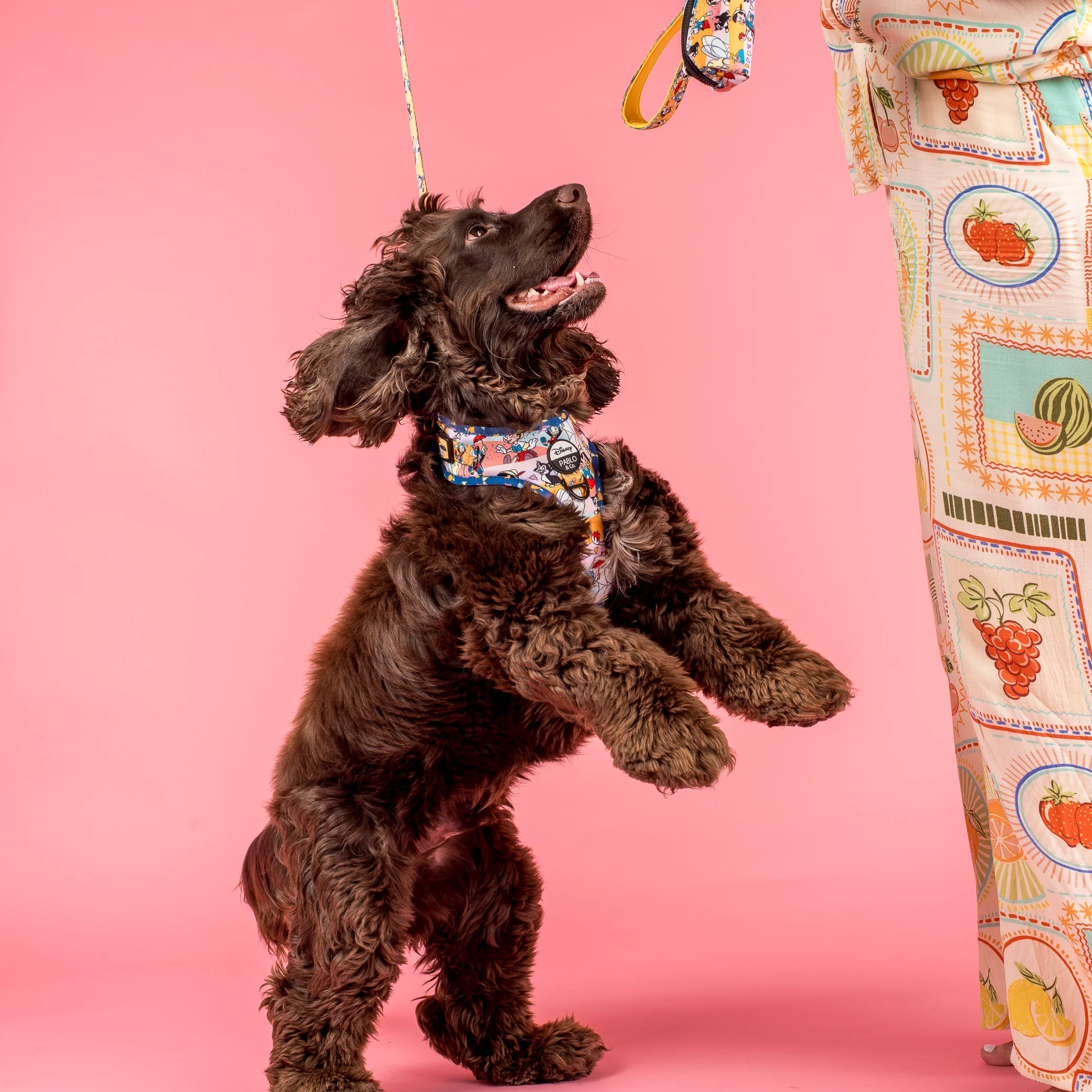 Pinocchio: Adjustable Harness - Image 5