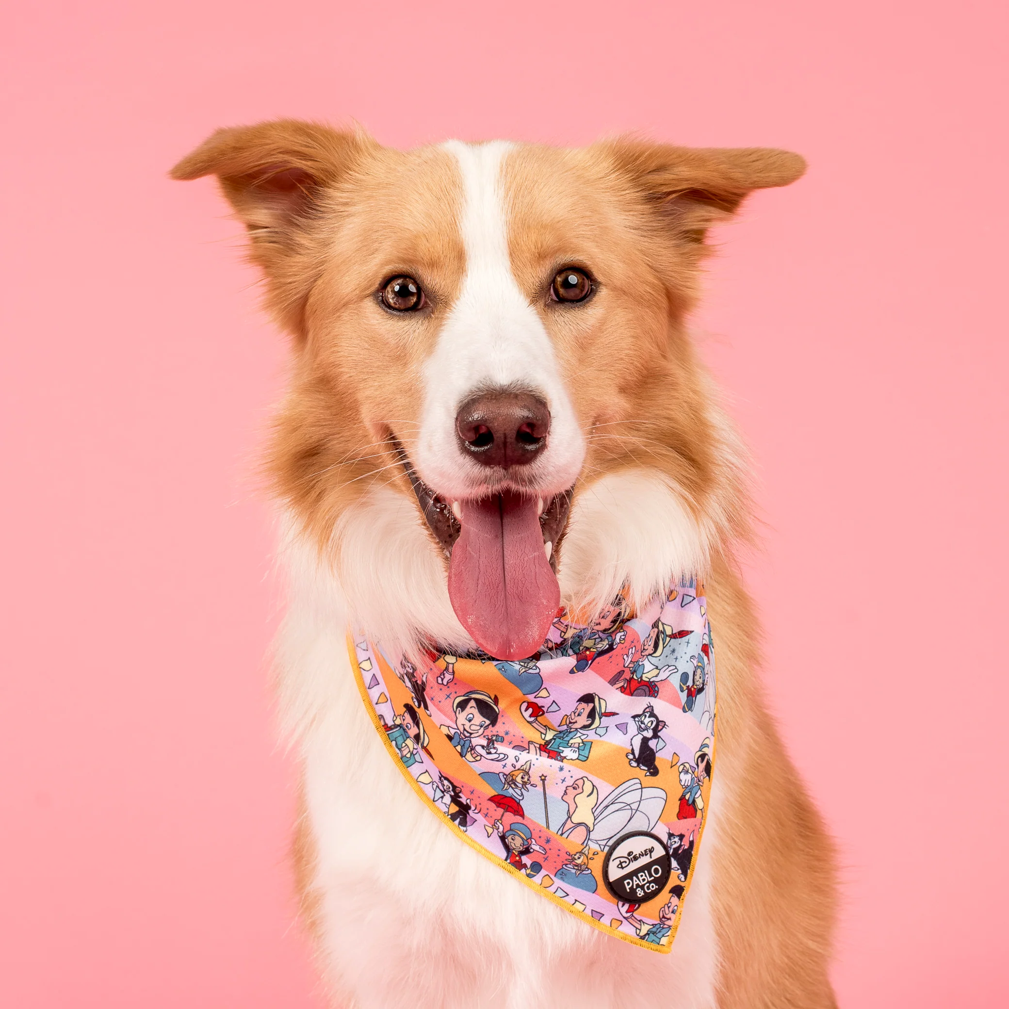 Pinocchio: Dog Bandana - Image 3
