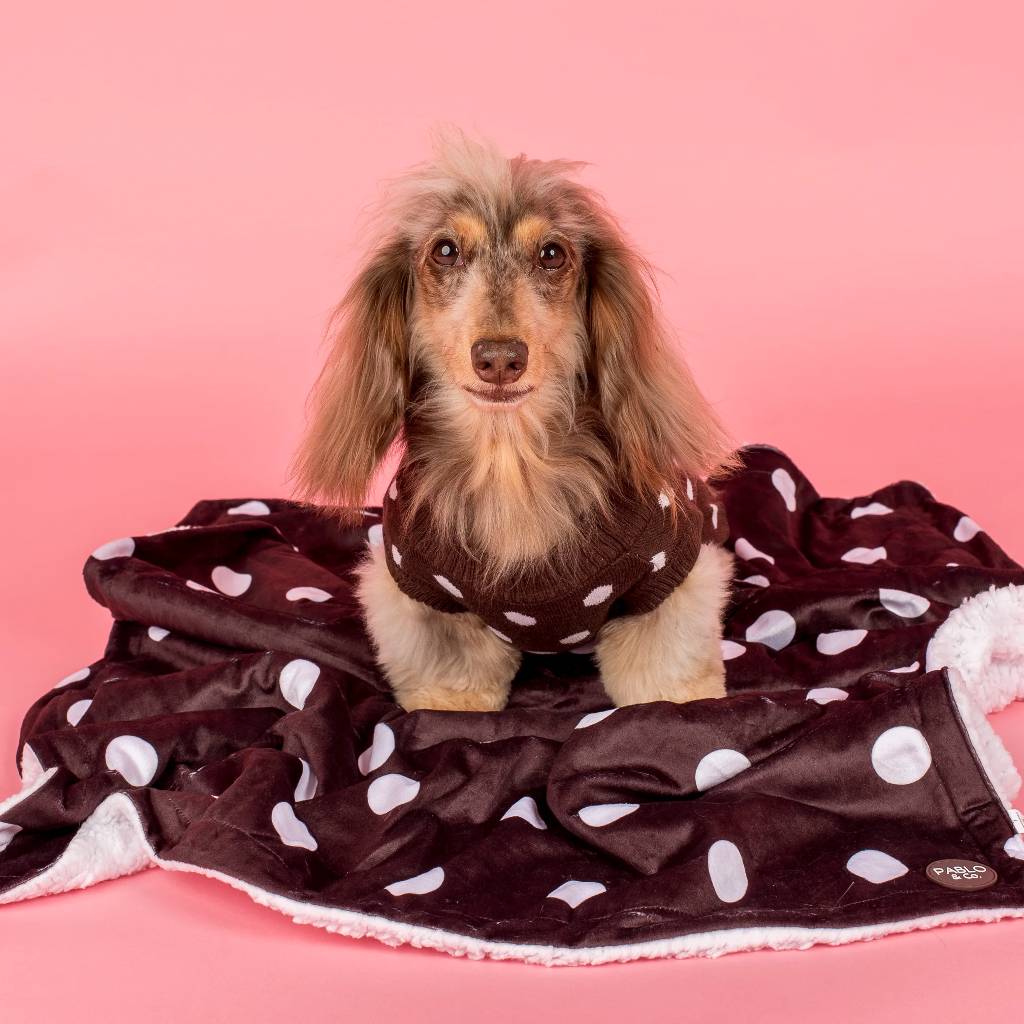 Polka Dots: Sweater - Image 5