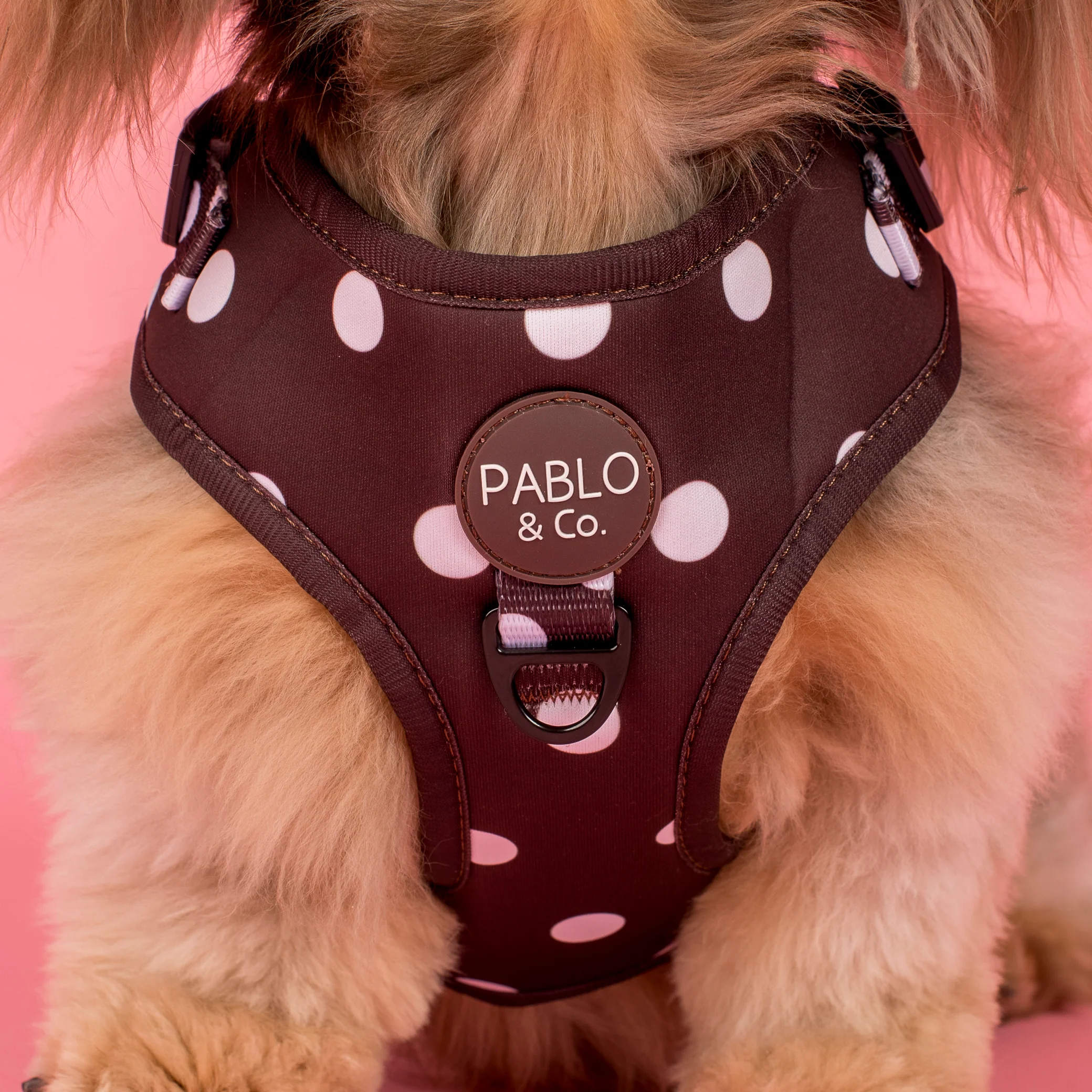 Polka Dots: Adjustable Harness - Image 2