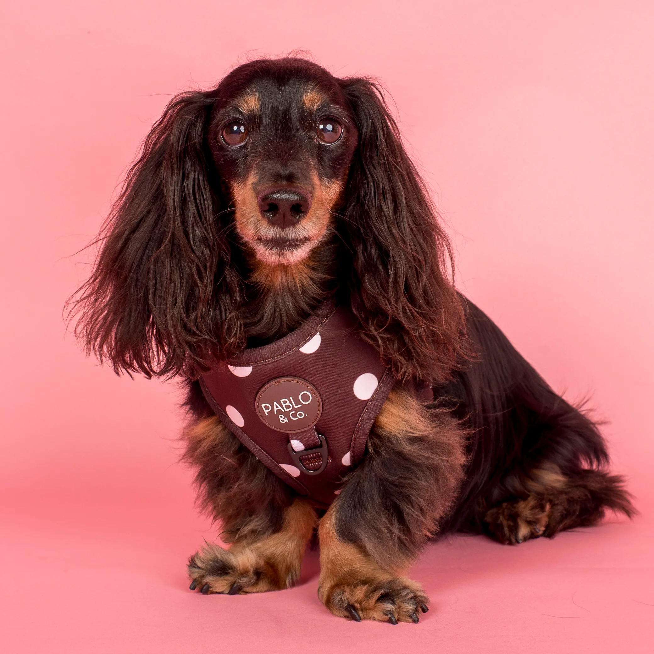 Polka Dots: Adjustable Harness - Image 3