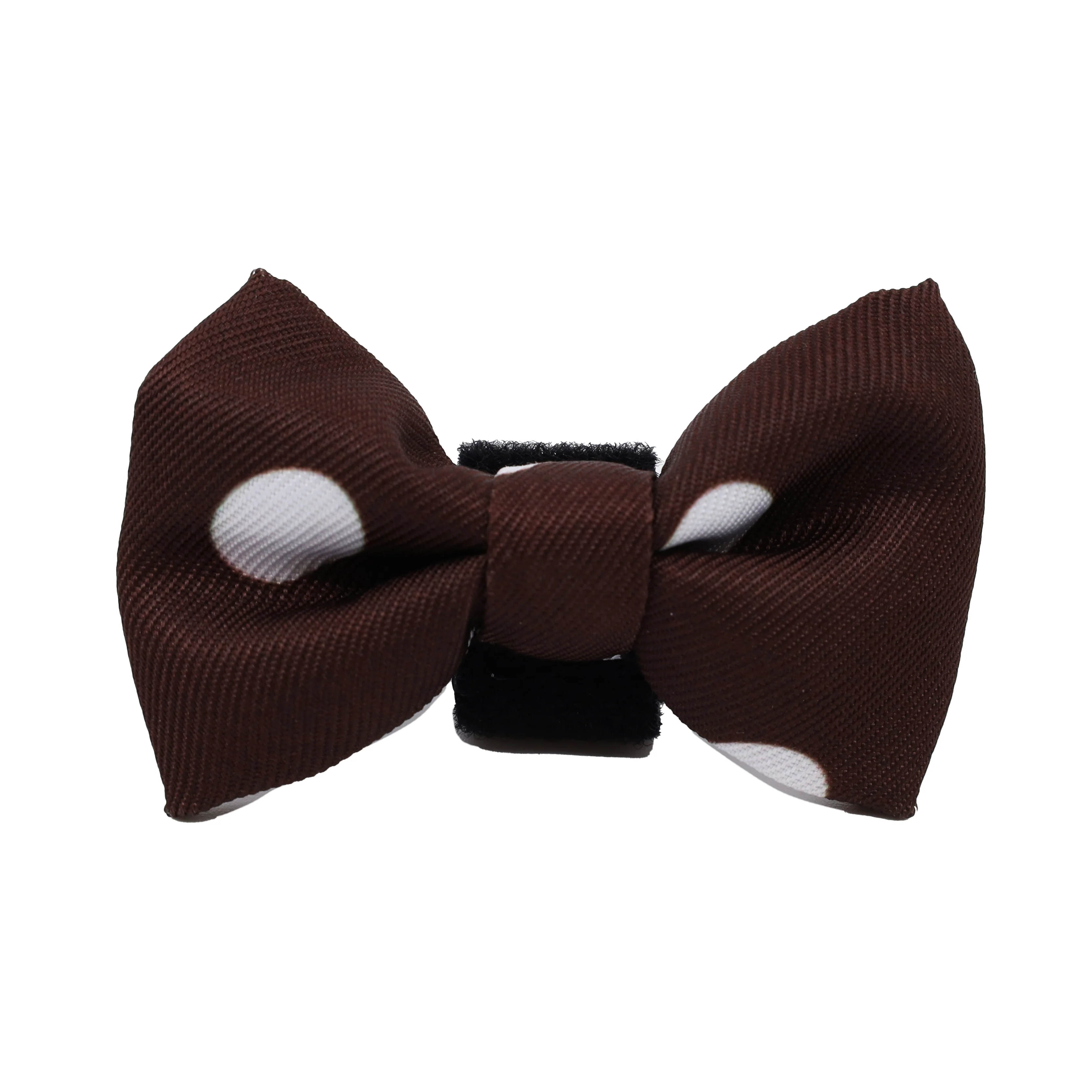Polka Dots: Cat Bow Tie