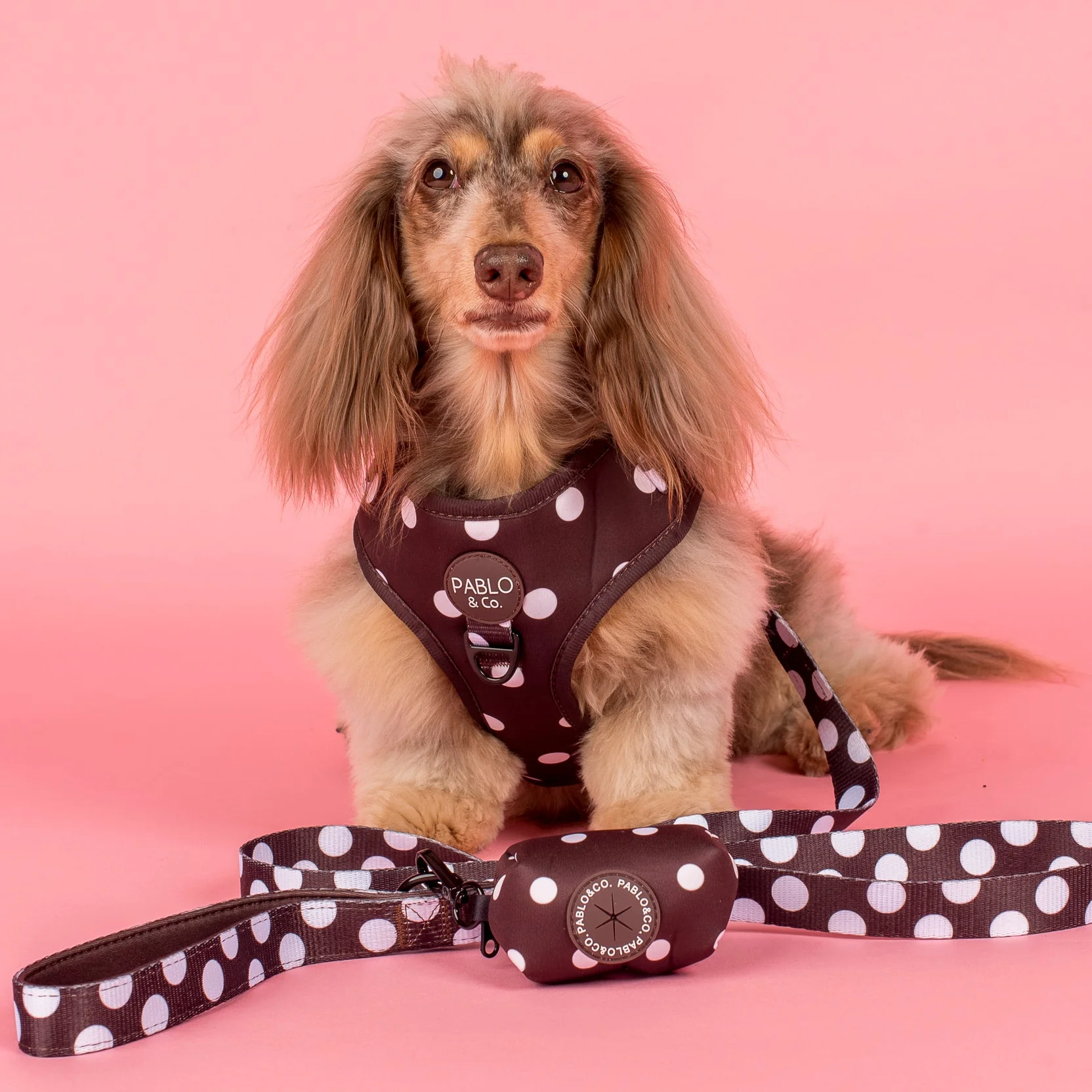 Polka Dots: Poop Bag Holder - Image 2