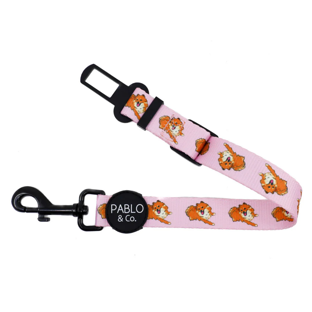 Pomeranian: Adjustable Car Restraint