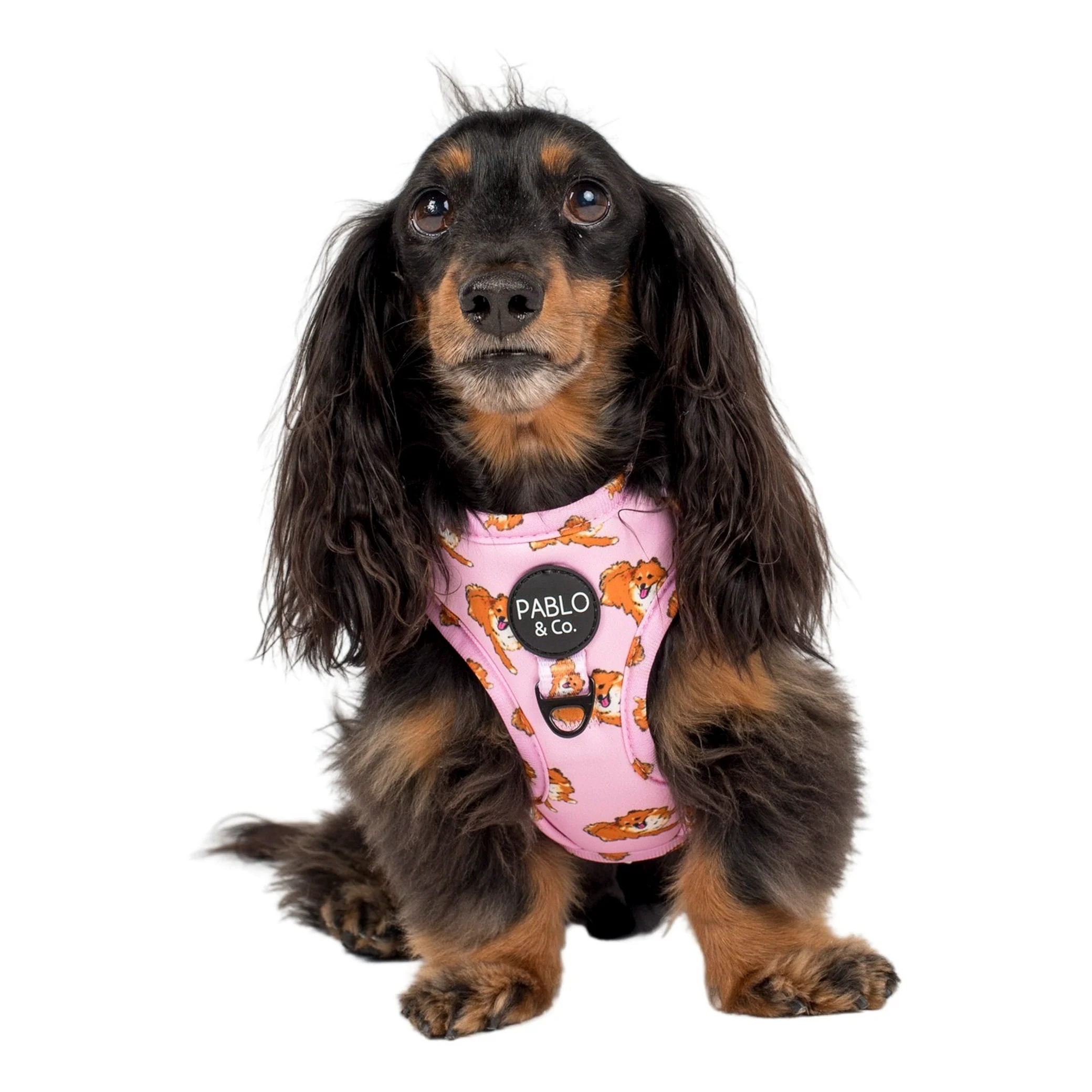 Pomeranian: Adjustable Harness - Image 3