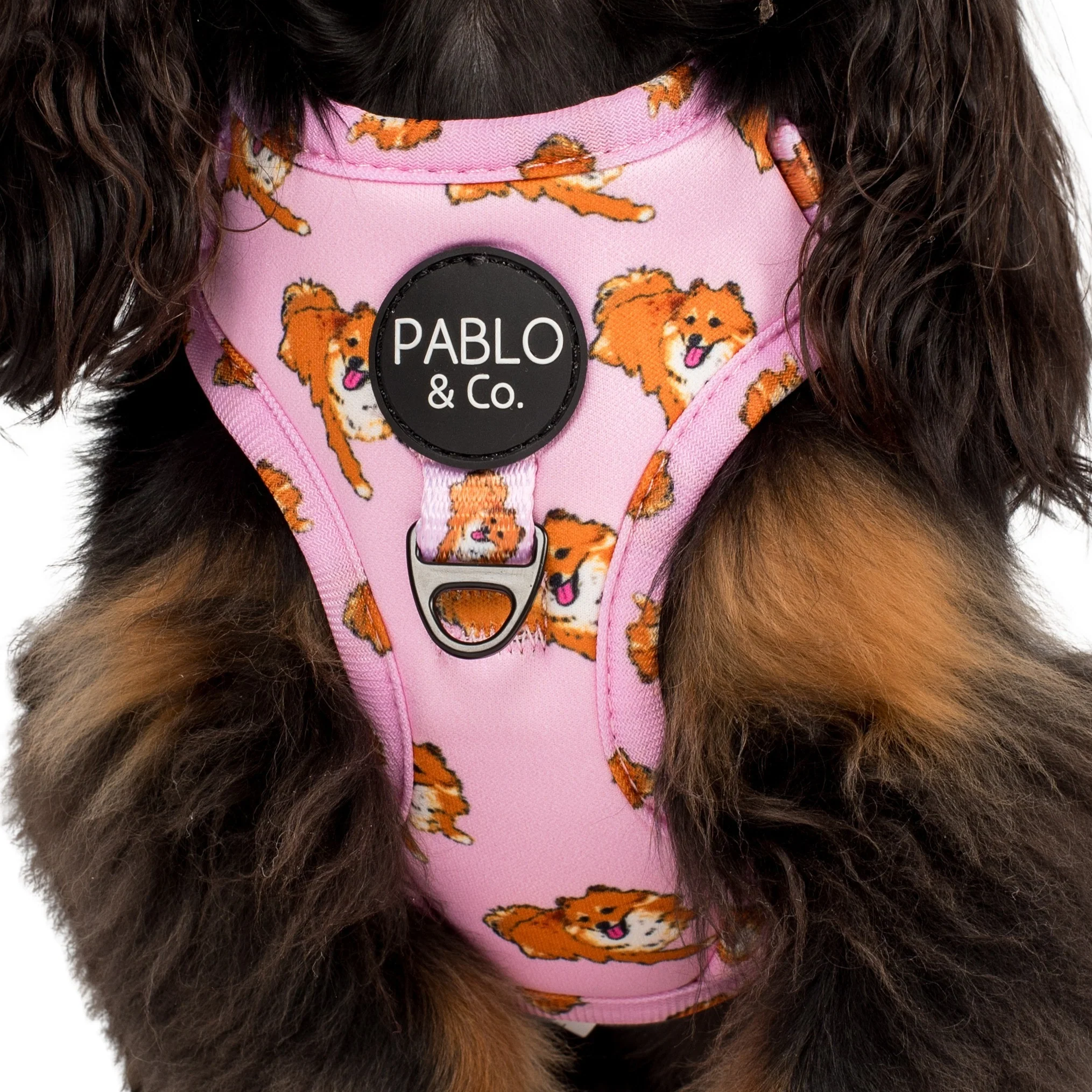 Pomeranian: Adjustable Harness - Image 4