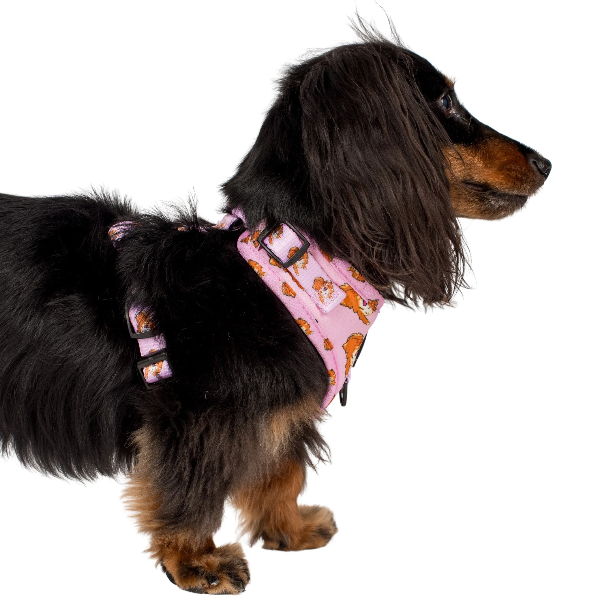 Pomeranian: Adjustable Harness - Image 6