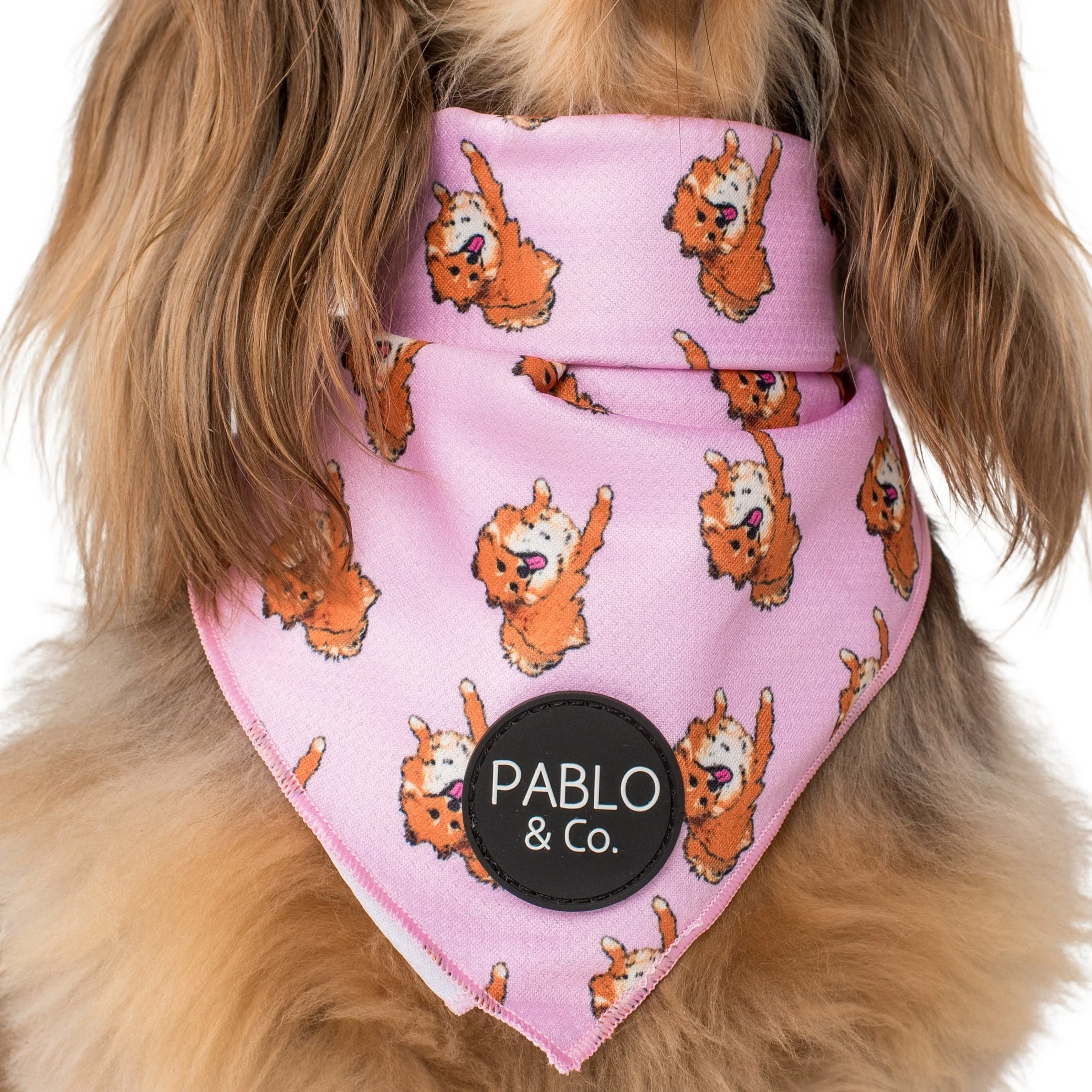 Pomeranian - Dog Bandana - Image 2