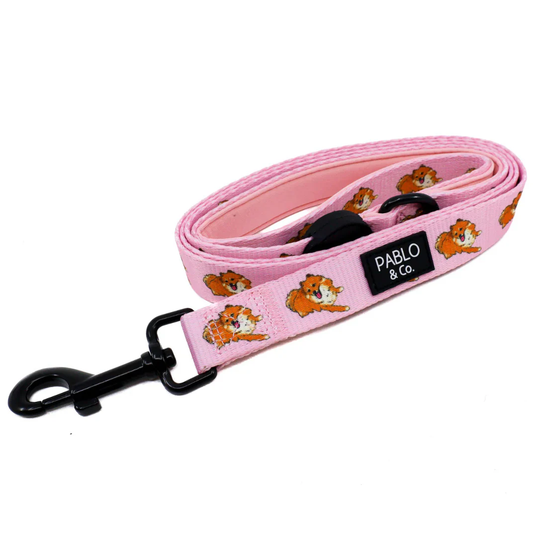 Pomeranian: Dog Leash