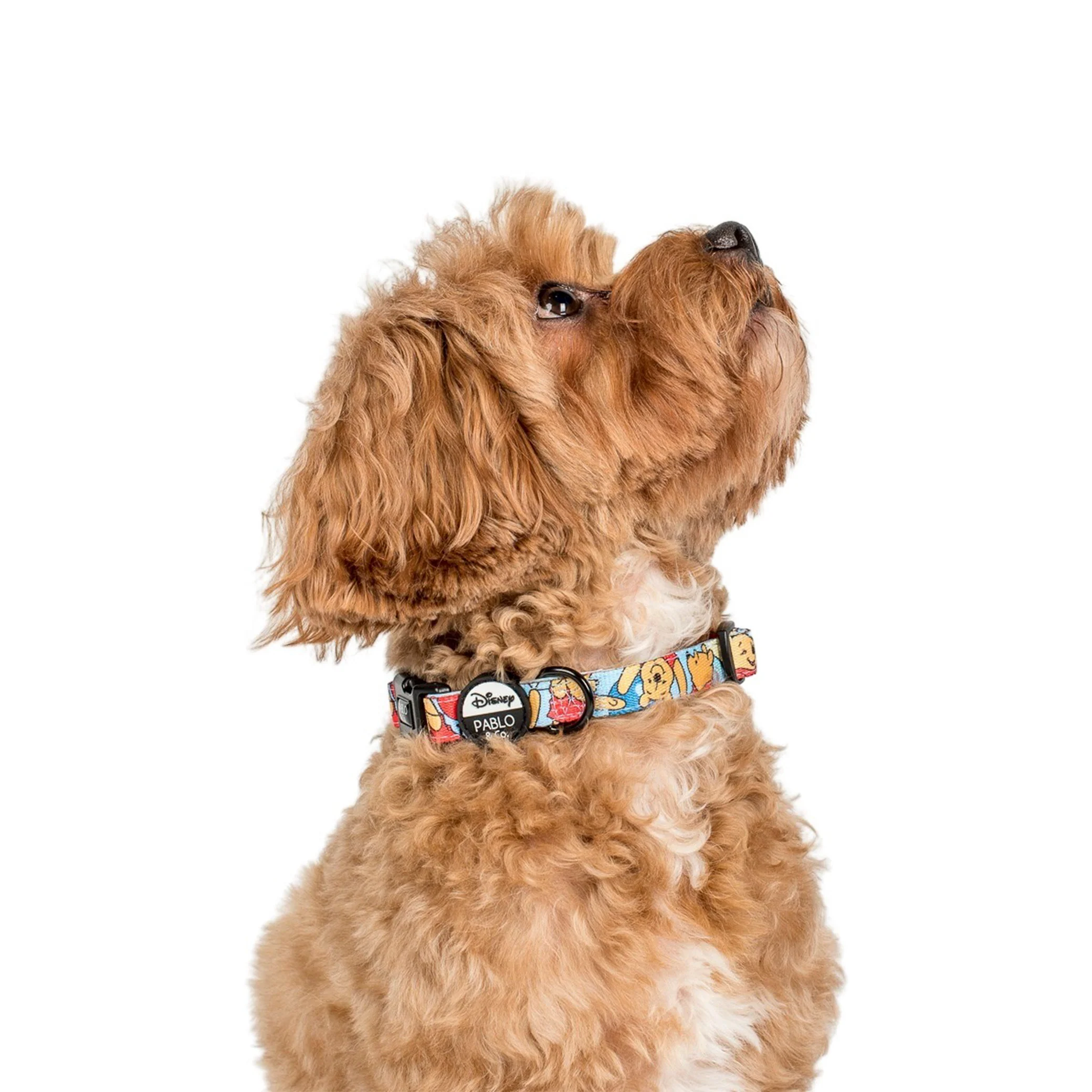 Pooh's Balloons: Dog Collar - Image 3
