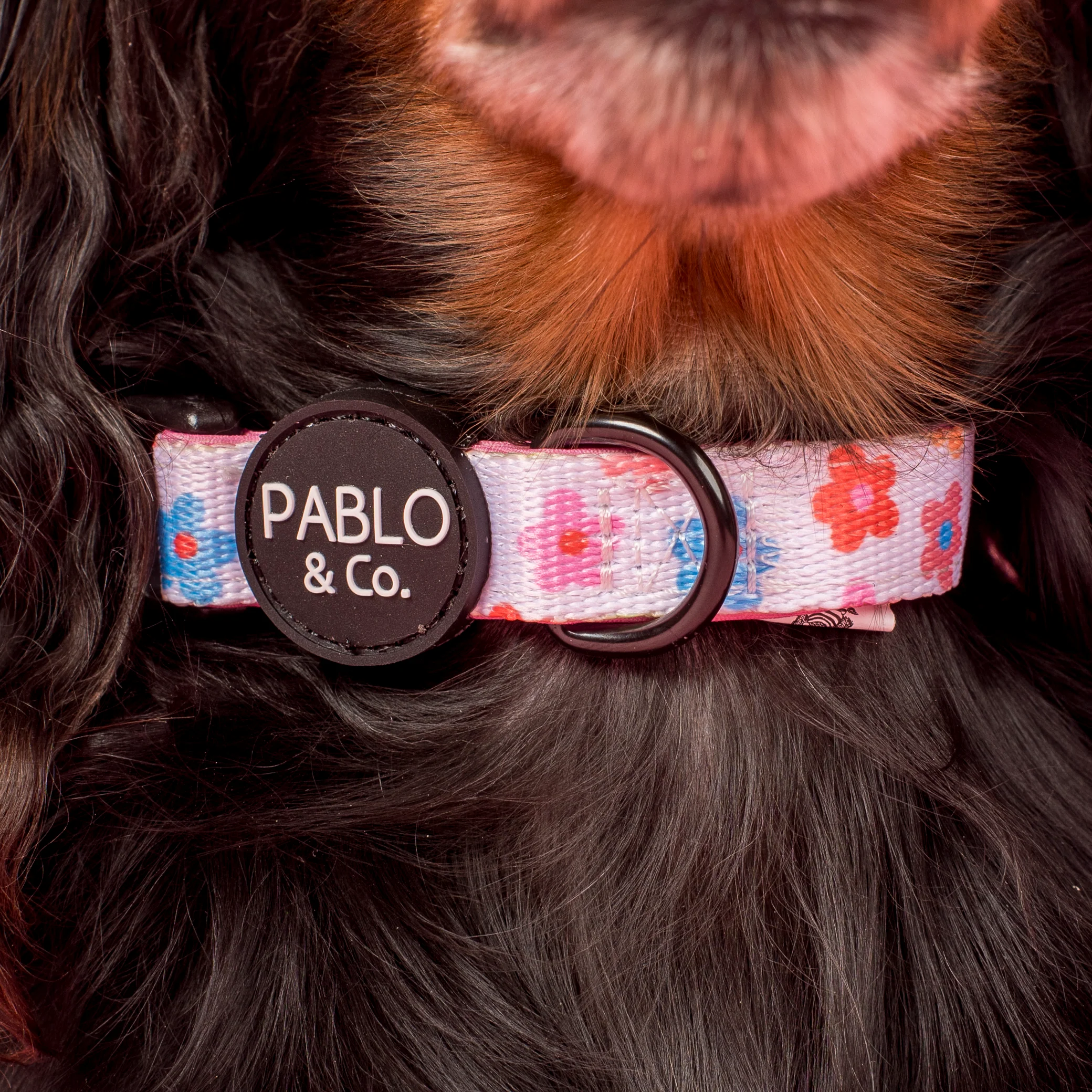 Posy: Collar