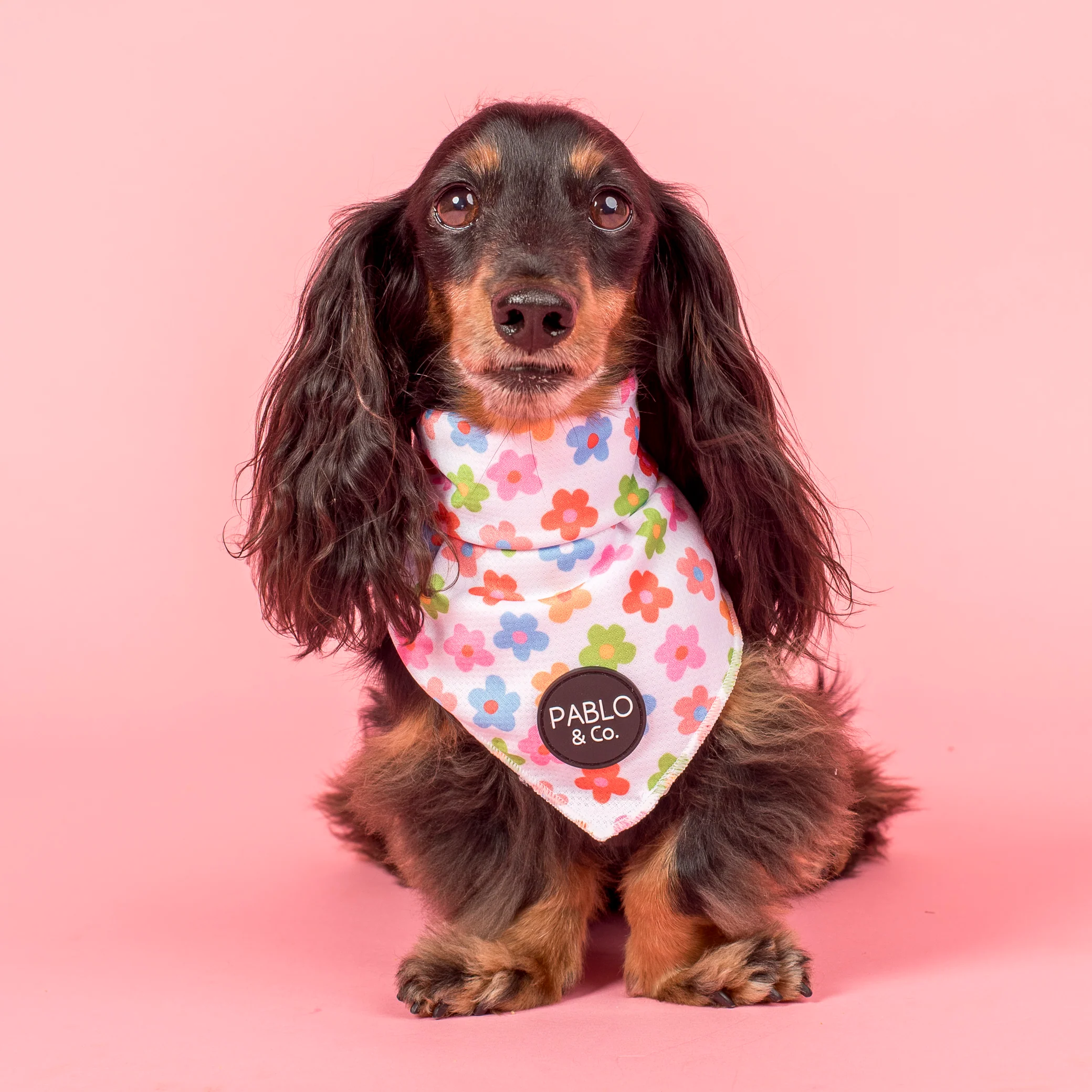 Posy: Dog Bandana - Image 2