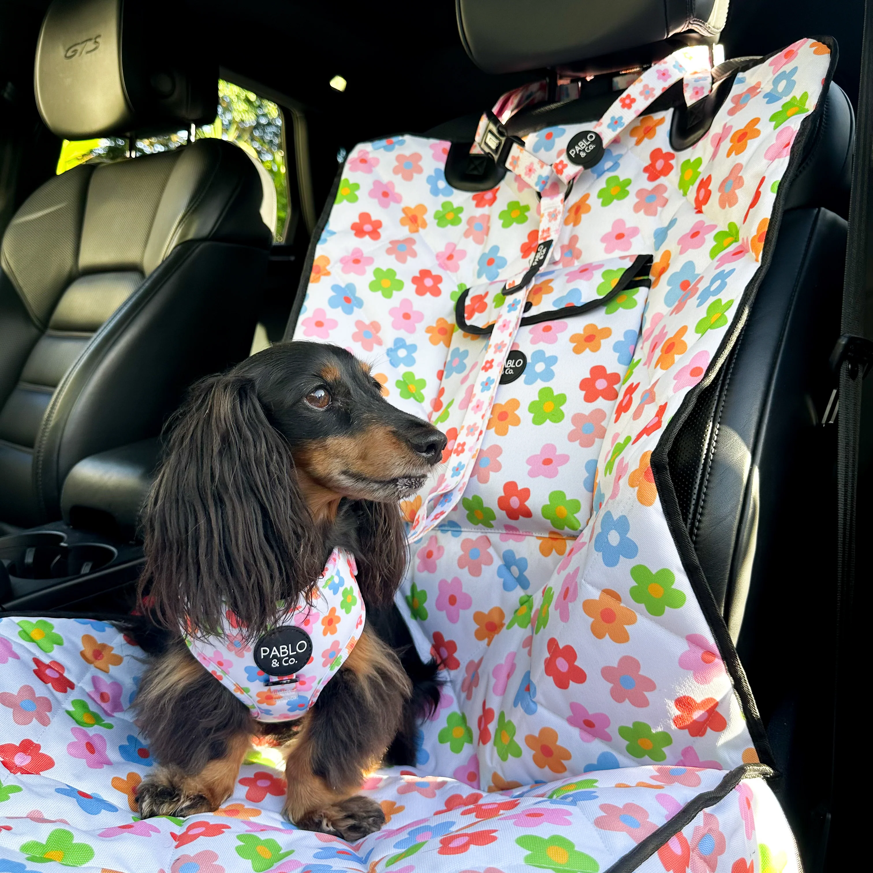 Posy: Headrest Car Restraint - Image 2
