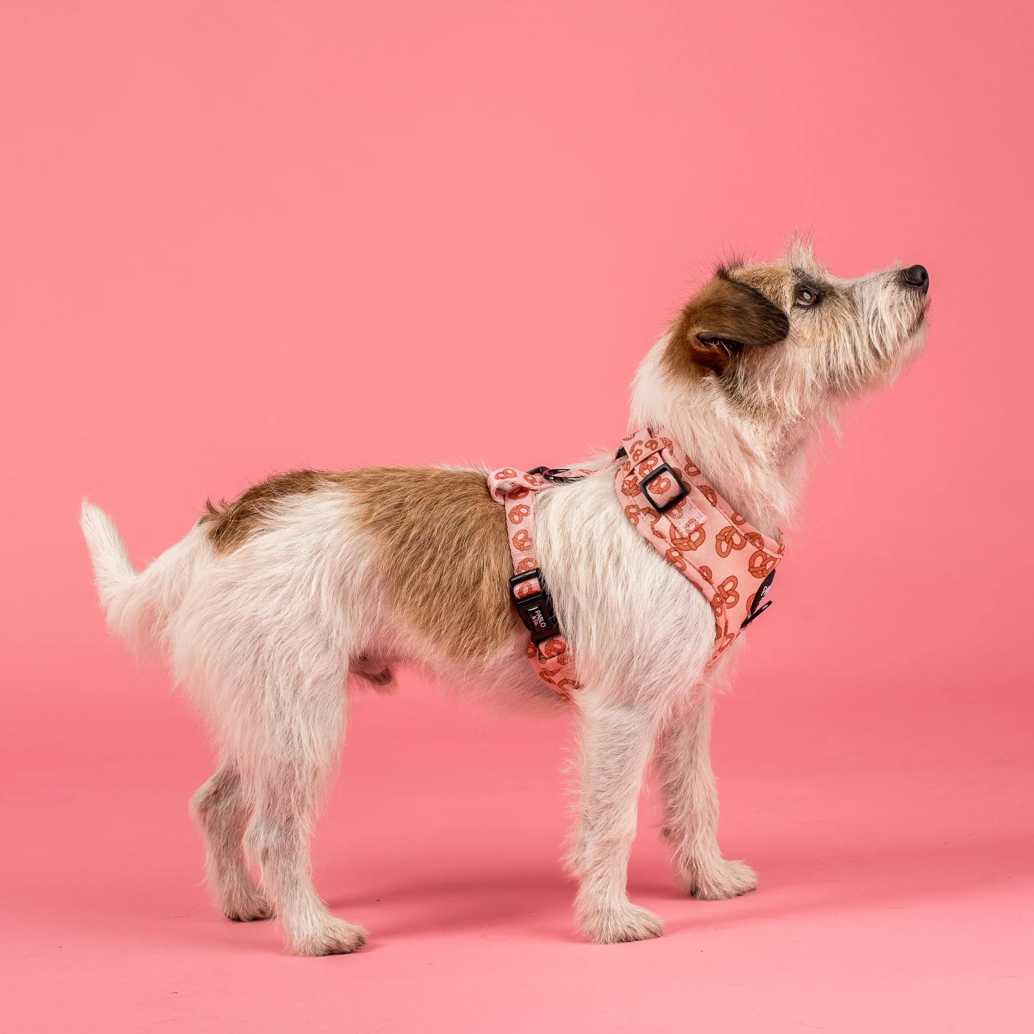 Pretzels: Adjustable Harness - Image 4