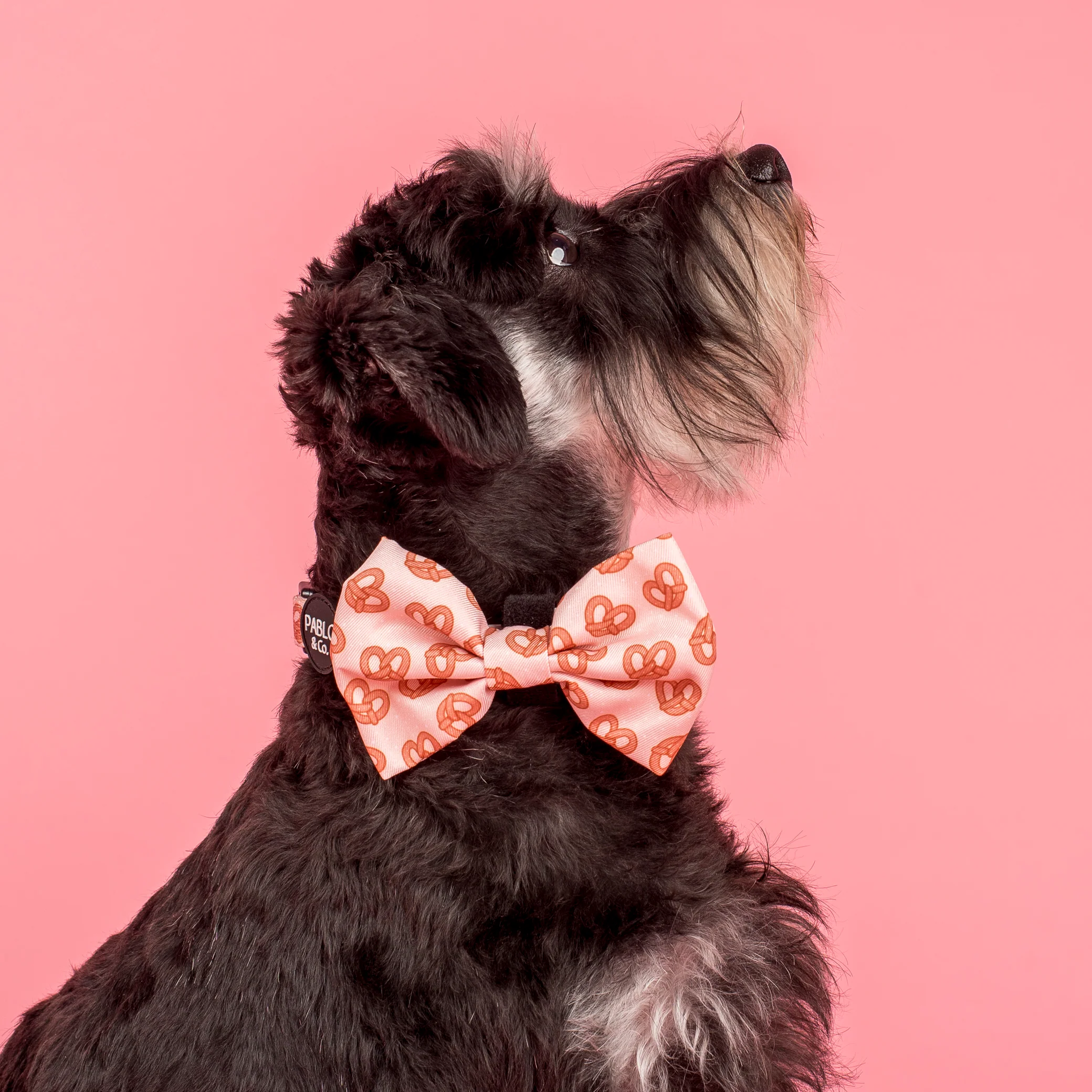 Pretzels: Bow Tie