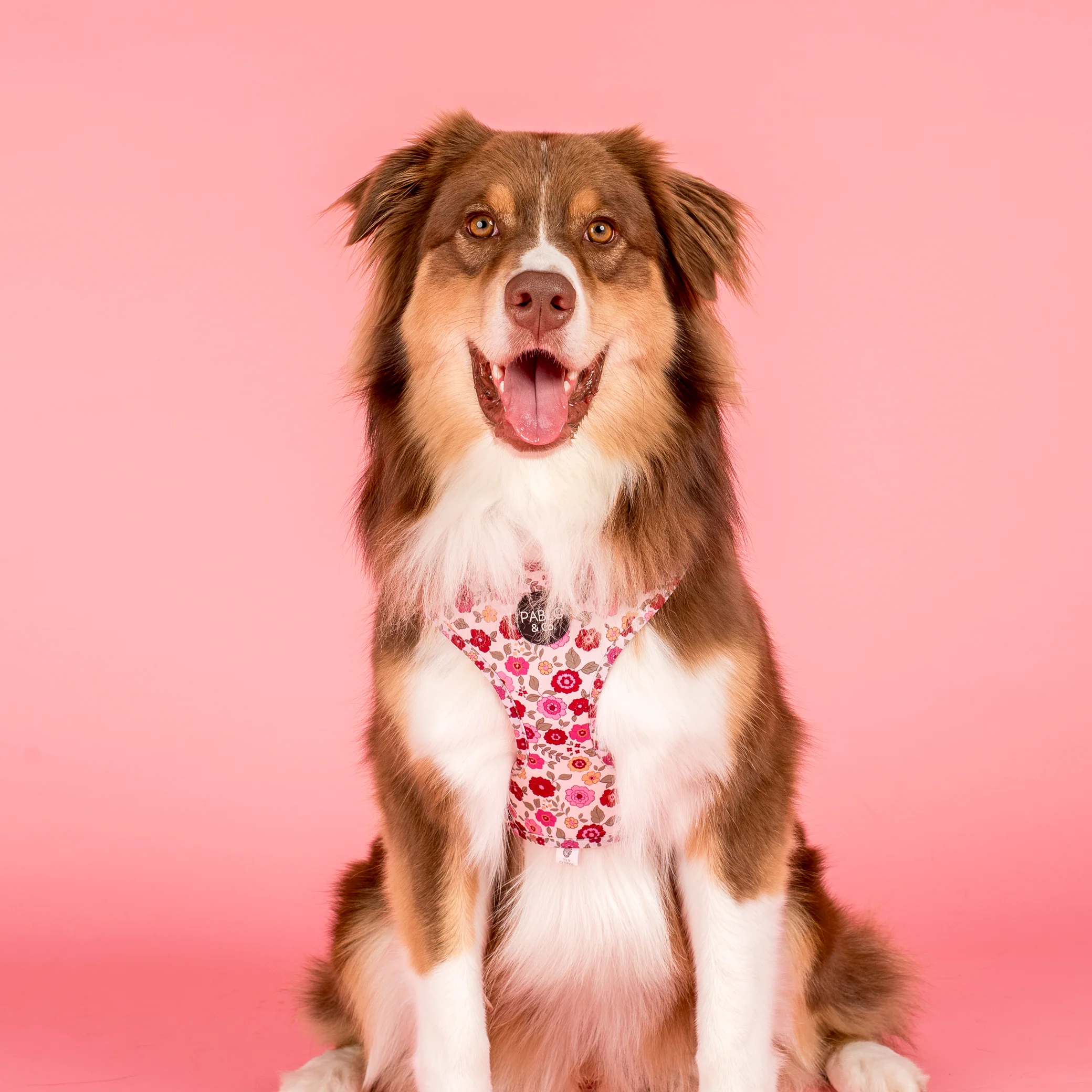 Primrose: Adjustable Harness